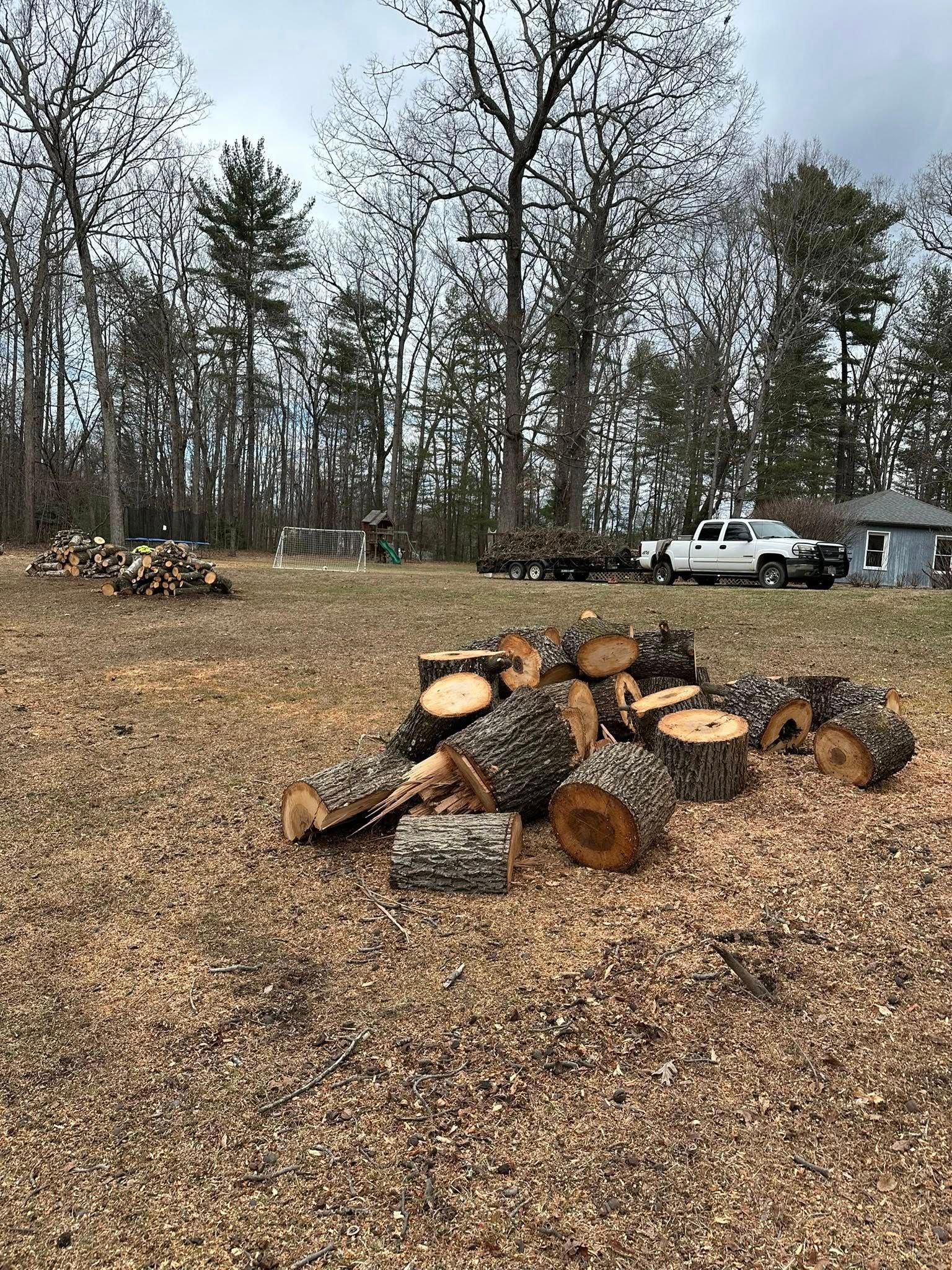  for Ramirez Tree Care in Elkin, NC