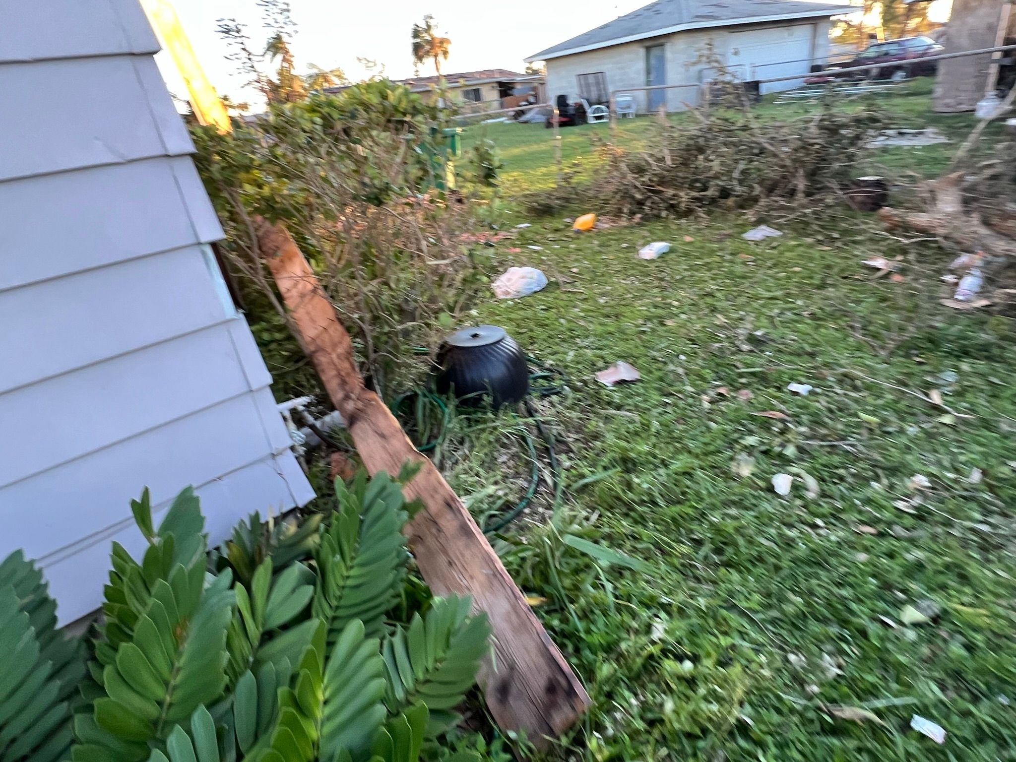  for Surplus Public Adjusters in Miami-Dade County, FL