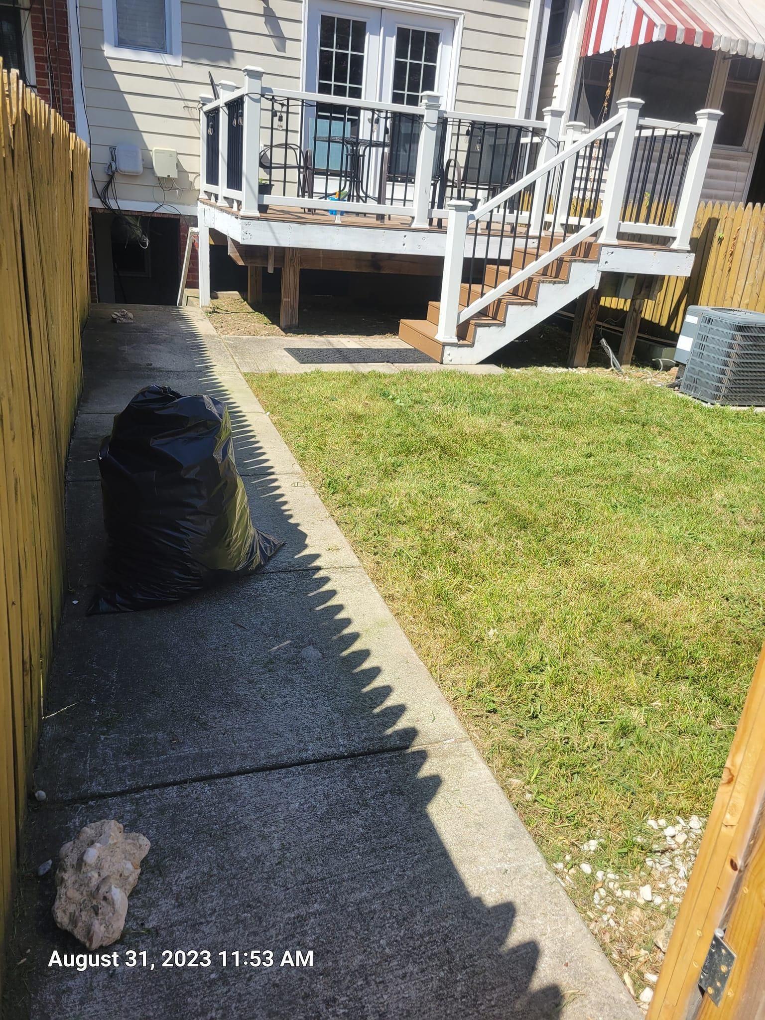 Fall and Spring Clean Up for Papayards in Arlington, VA