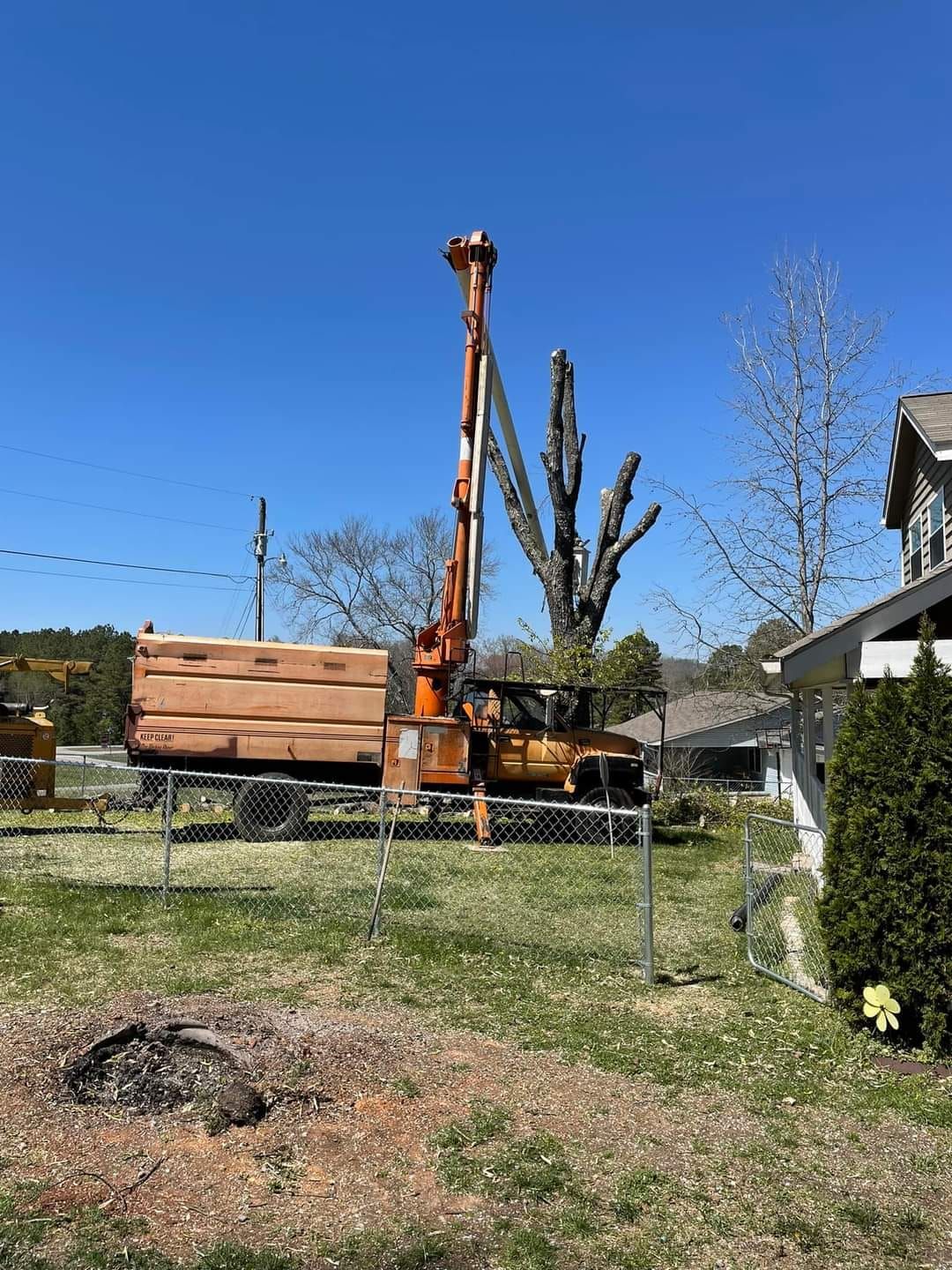  for Scott's Tree Service in Athens, TN