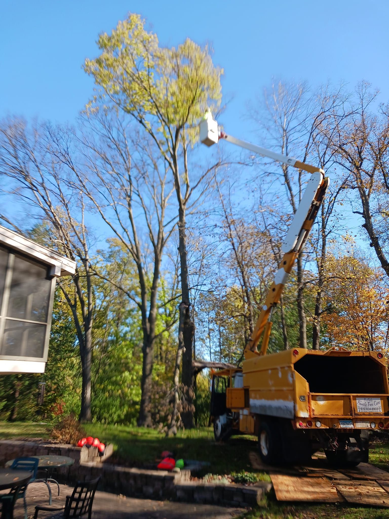 Tree Removal for Buffalo Family Tree Care in Buffalo, MN