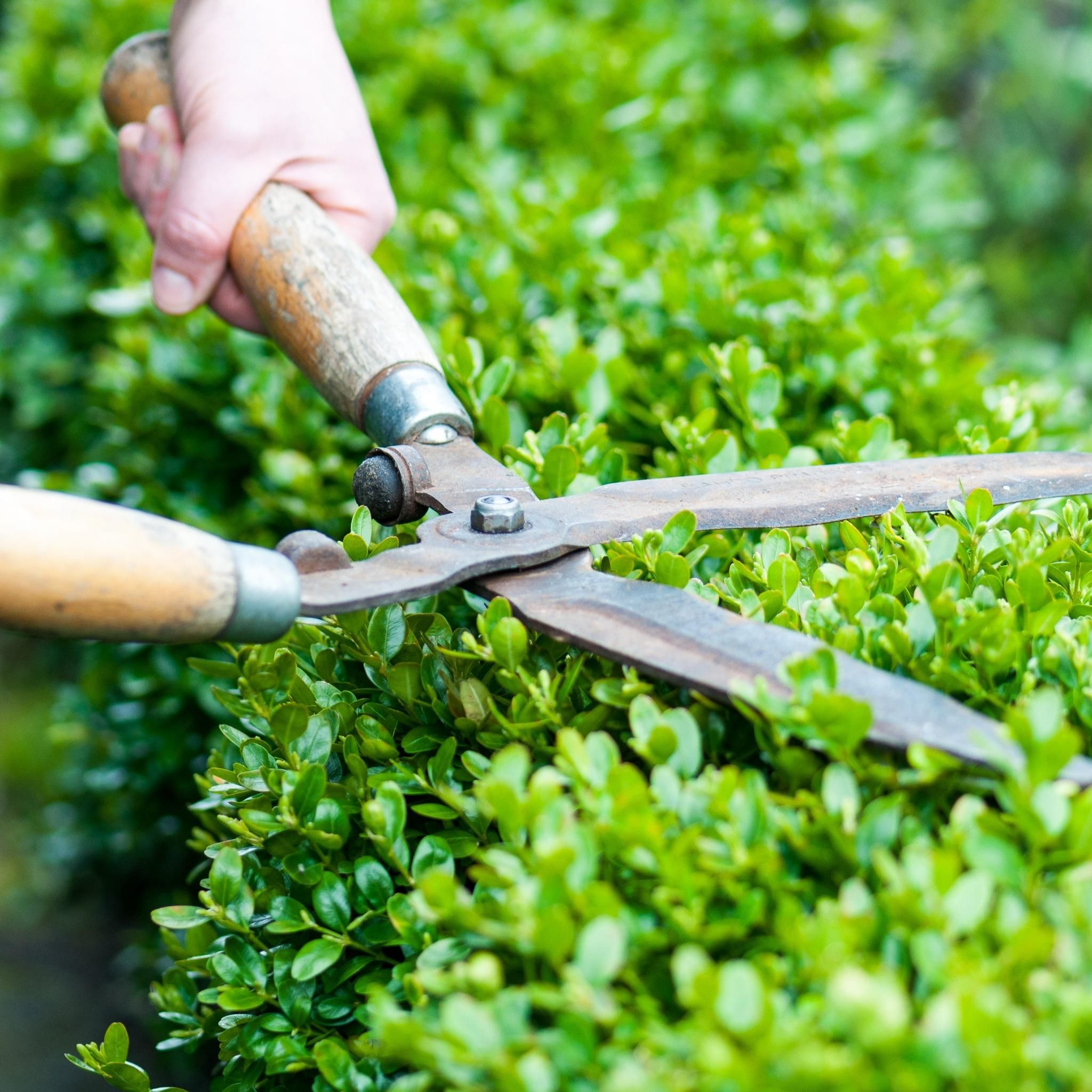  for TopNotch Landscaping Services  in The Villages, FL