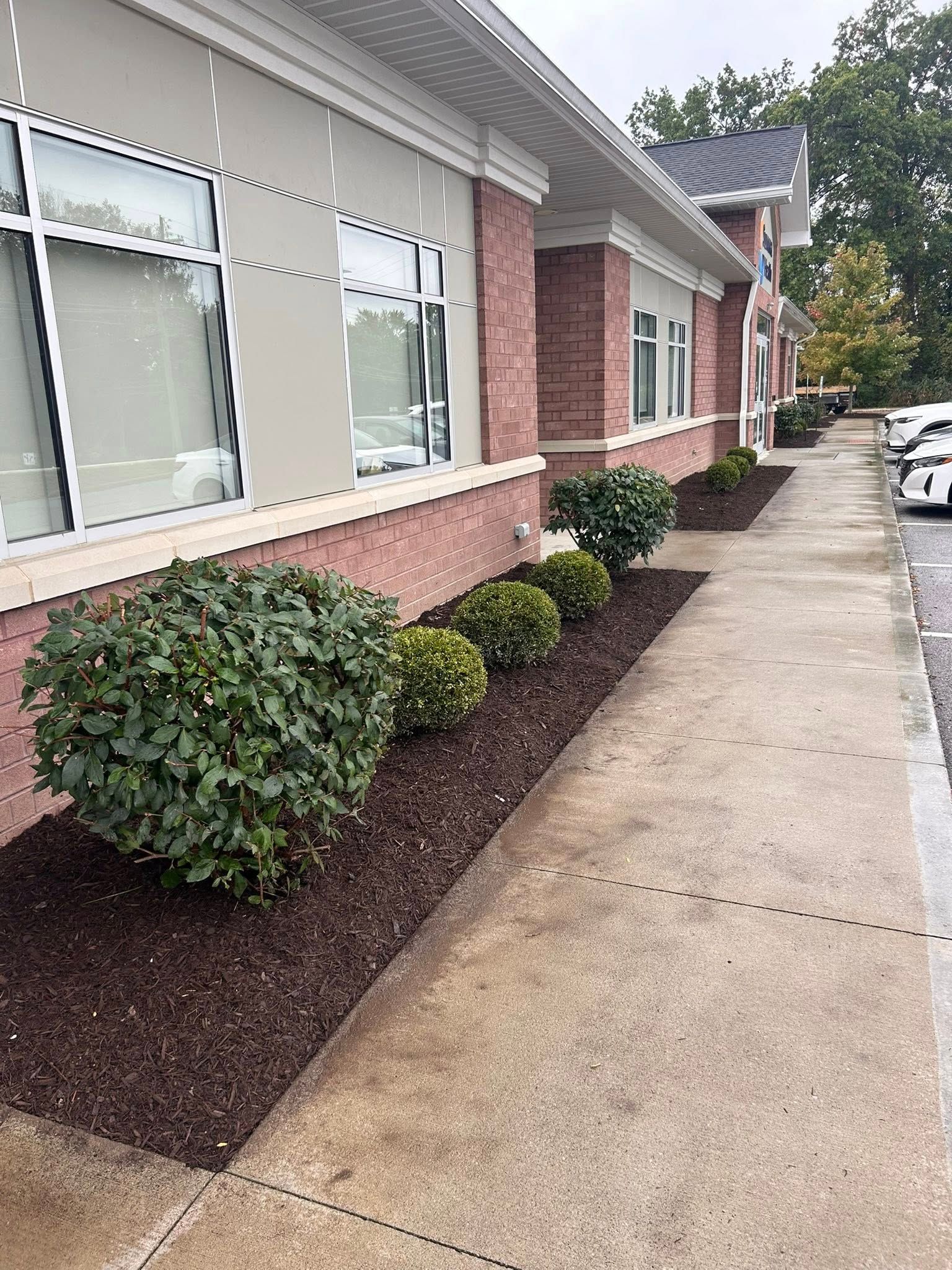  for Next Level Outdoor Services in Akron, OH