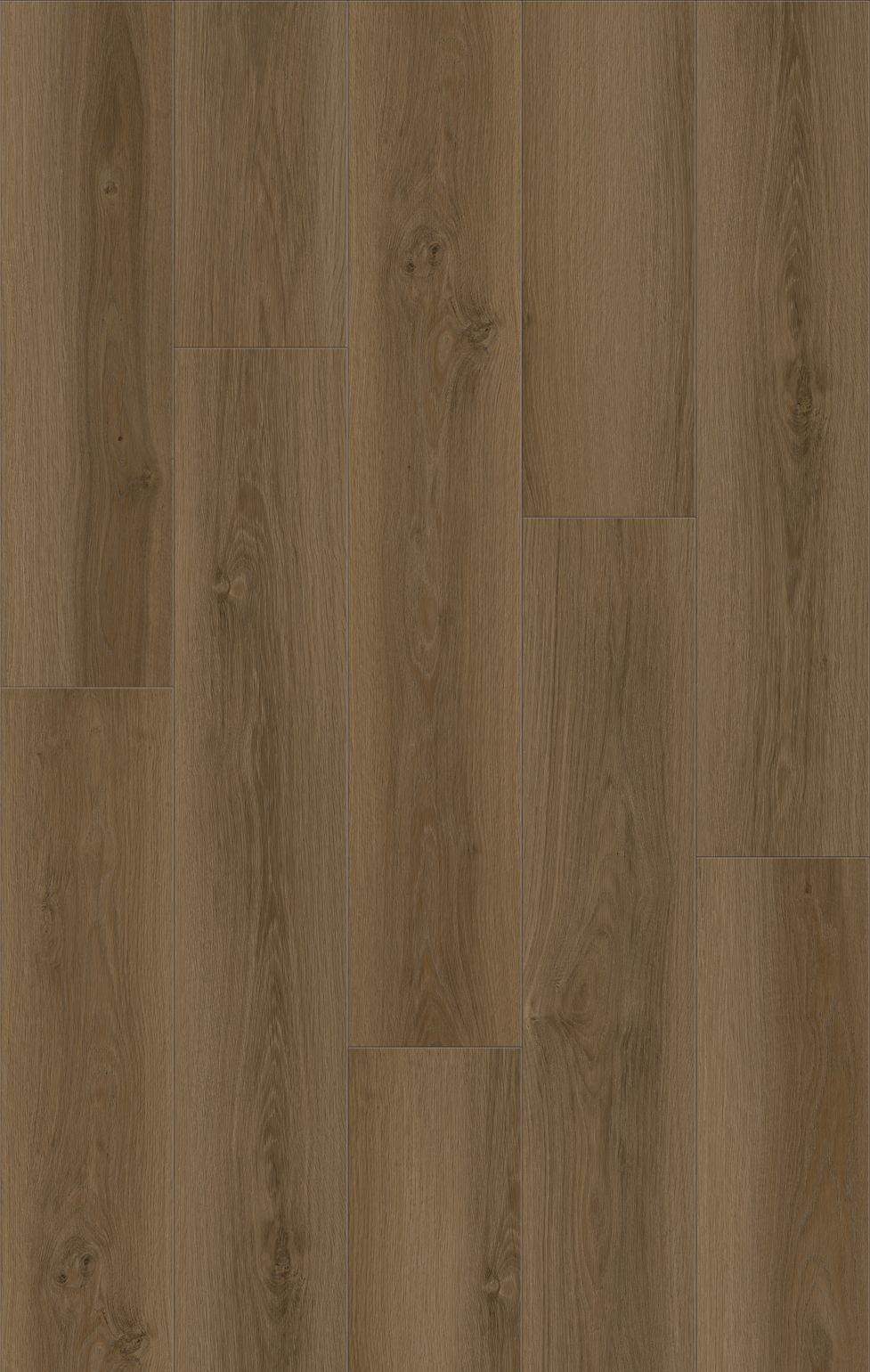  for Supreme Stone in Ocala, FL