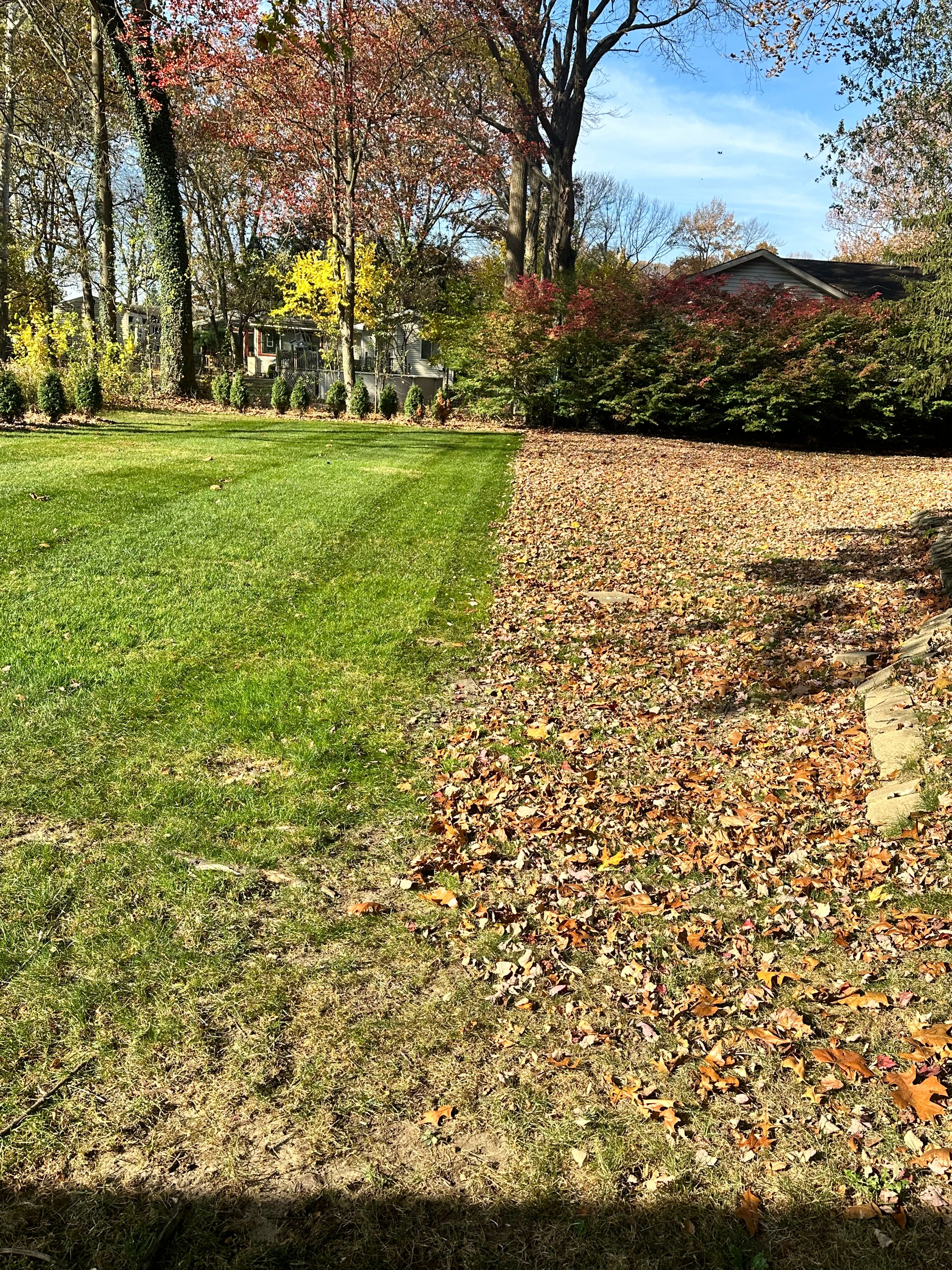  for Sargent's Lawn and Property Maintenance LLC in Lambertville, MI
