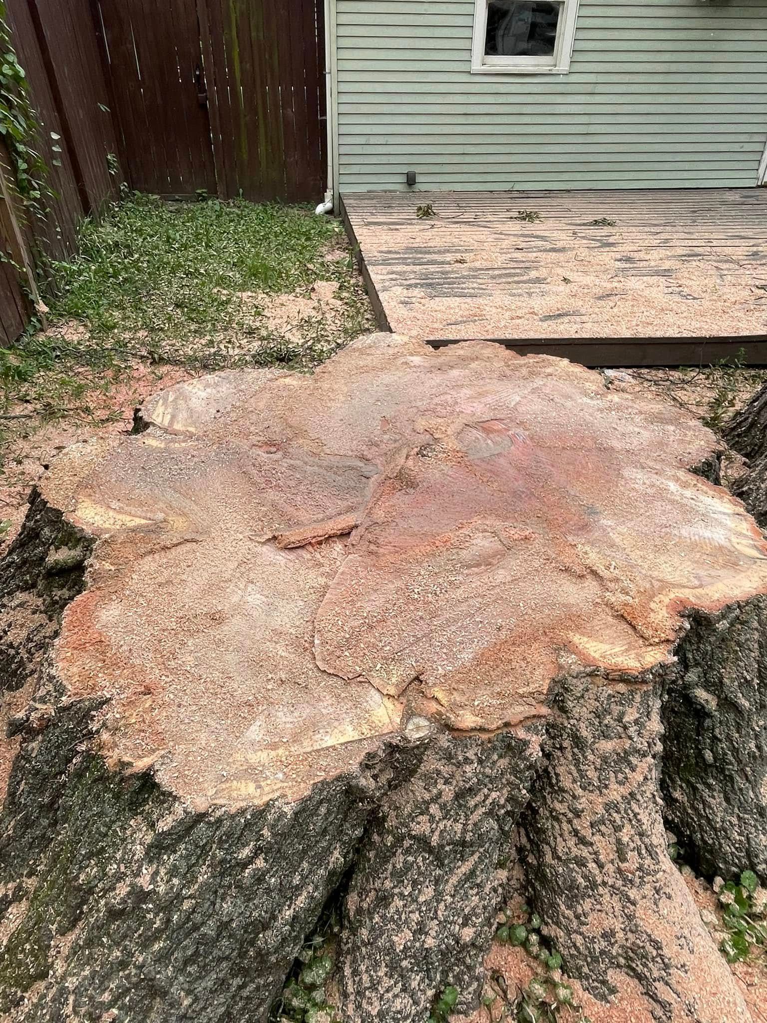  for Jace’s Tree & Stump Removal in Franklin, TN