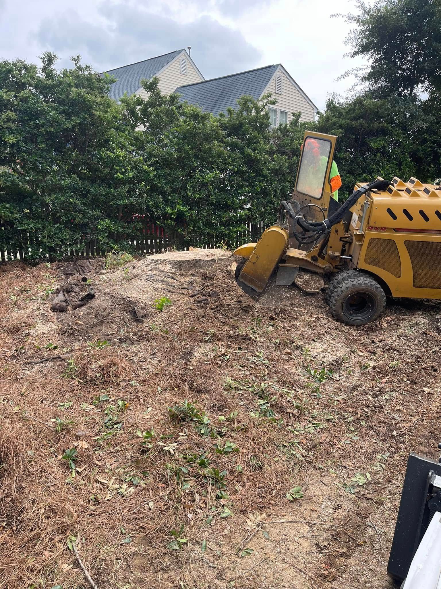  for J&J Tree Services in Raleigh, NC