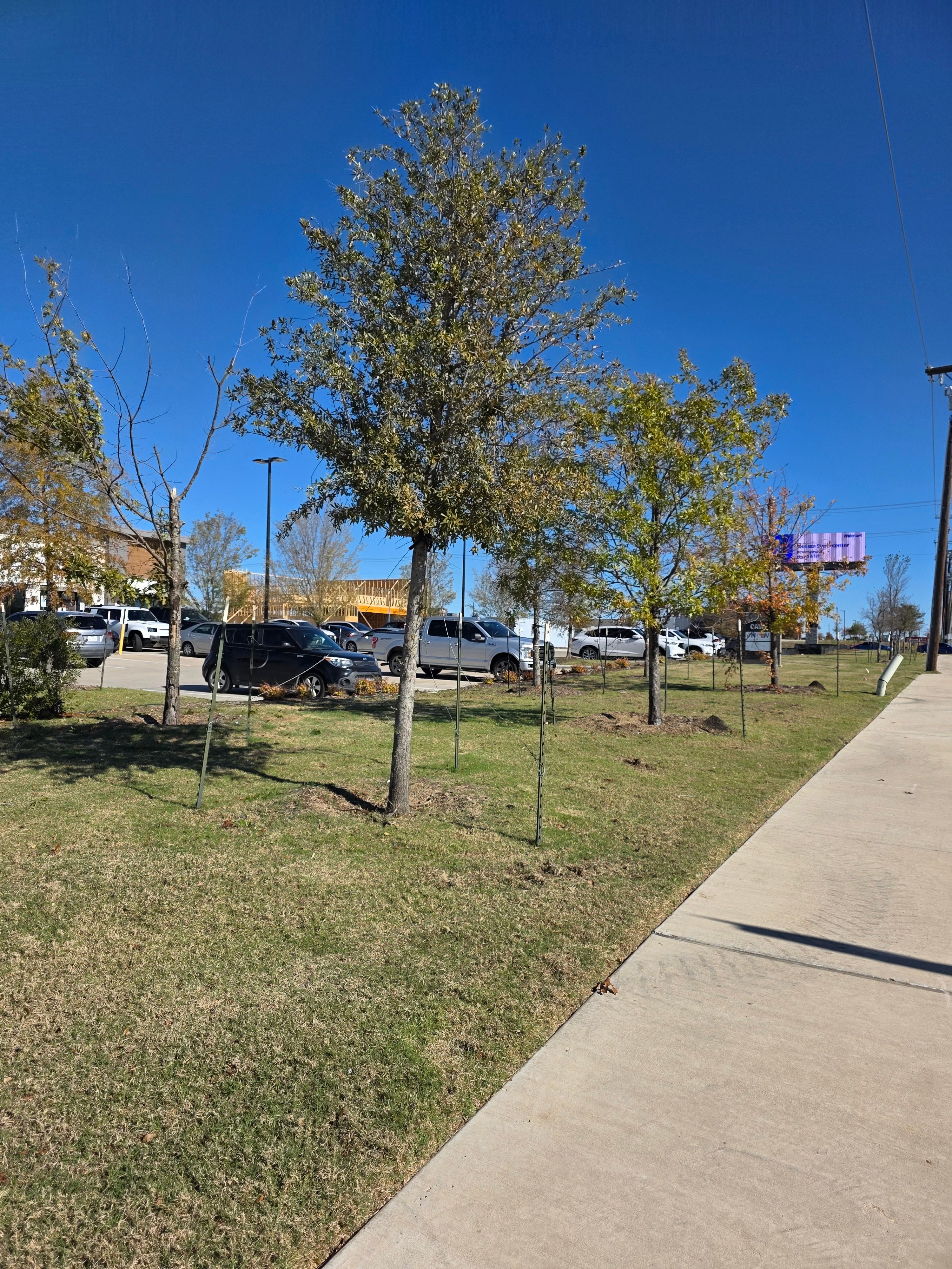  for RACSO RDZ LLC in McKinney, TX