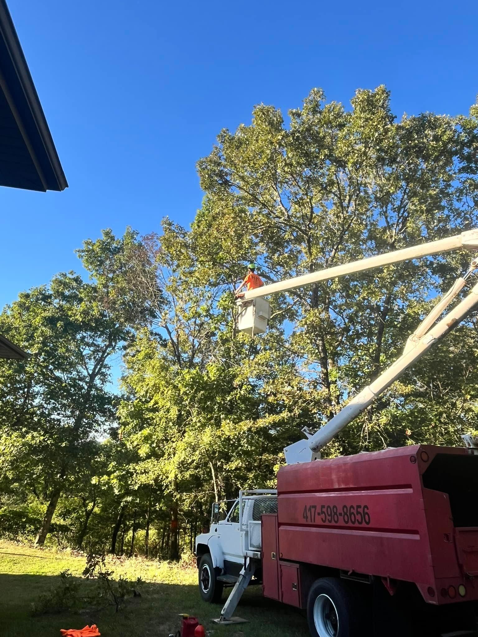  for H n H Tree Service in Taneyville, MO