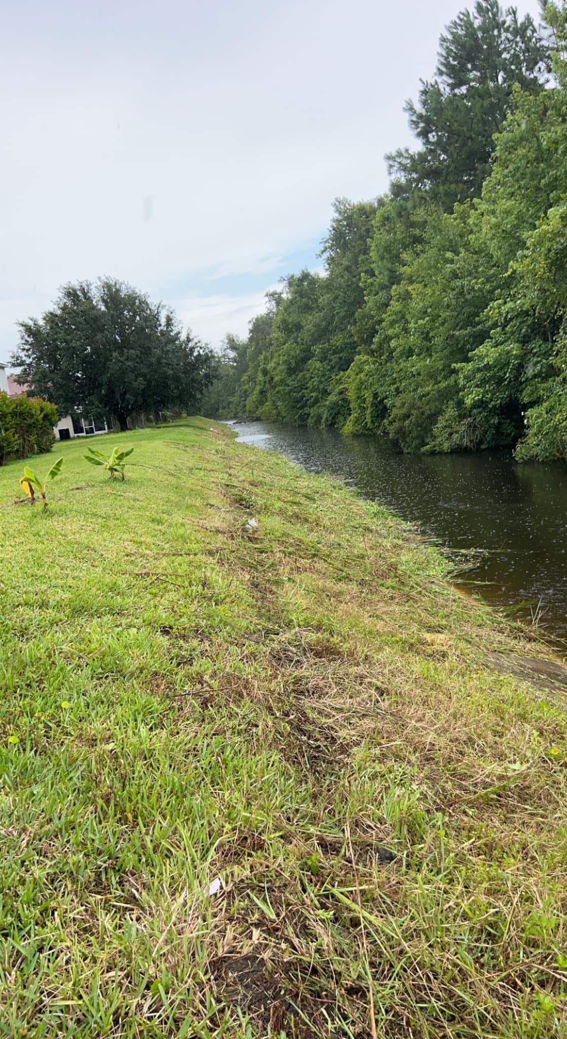 Landscaping for Jacksonville Outdoors in Jacksonville, FL