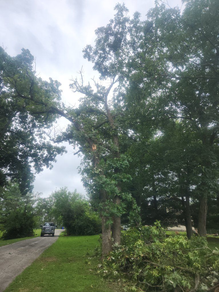  for Lawn Ranger Yard And Tree Service LLC in Ottumwa, IA