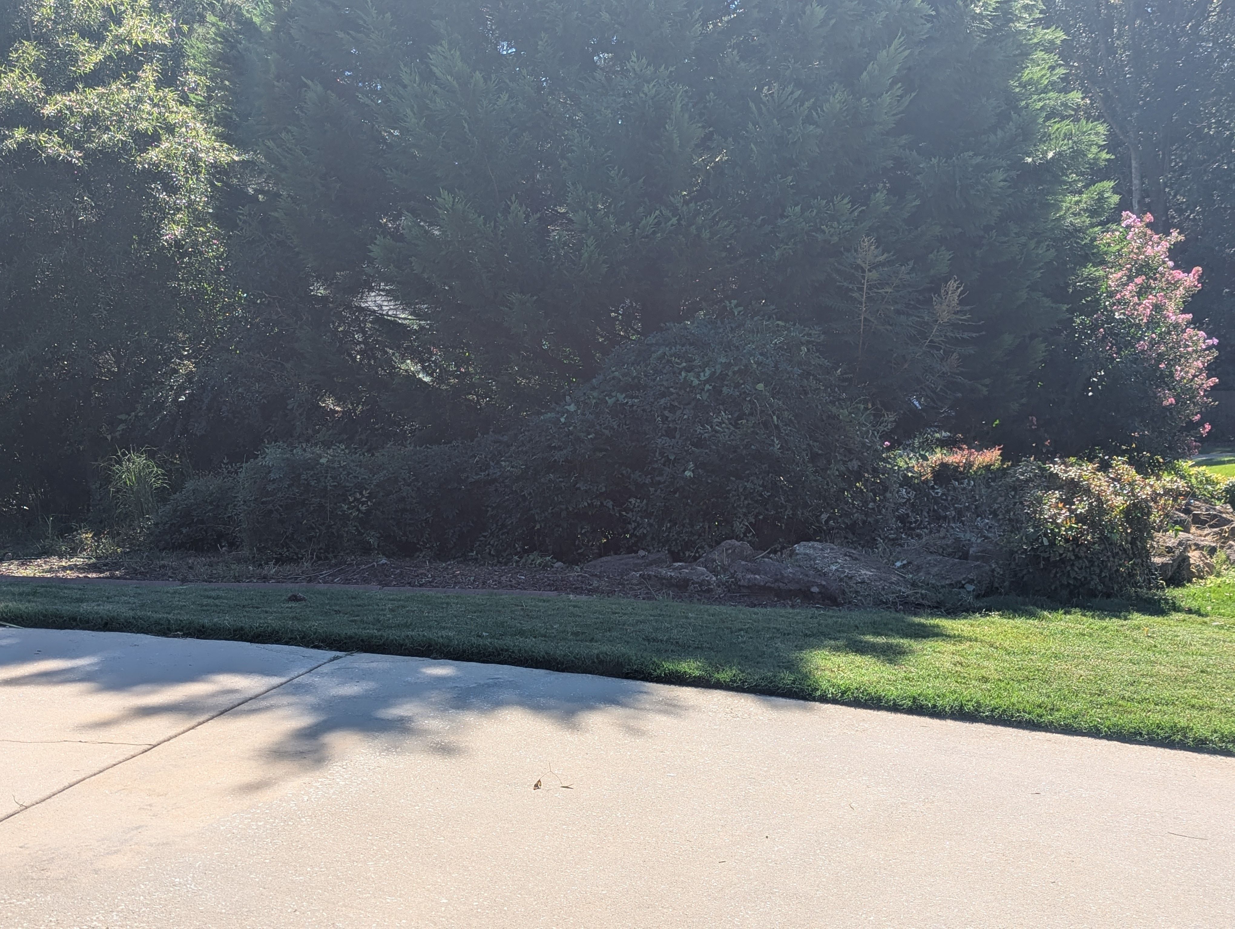  for Fantastic Lawn Care in Fayetteville, GA
