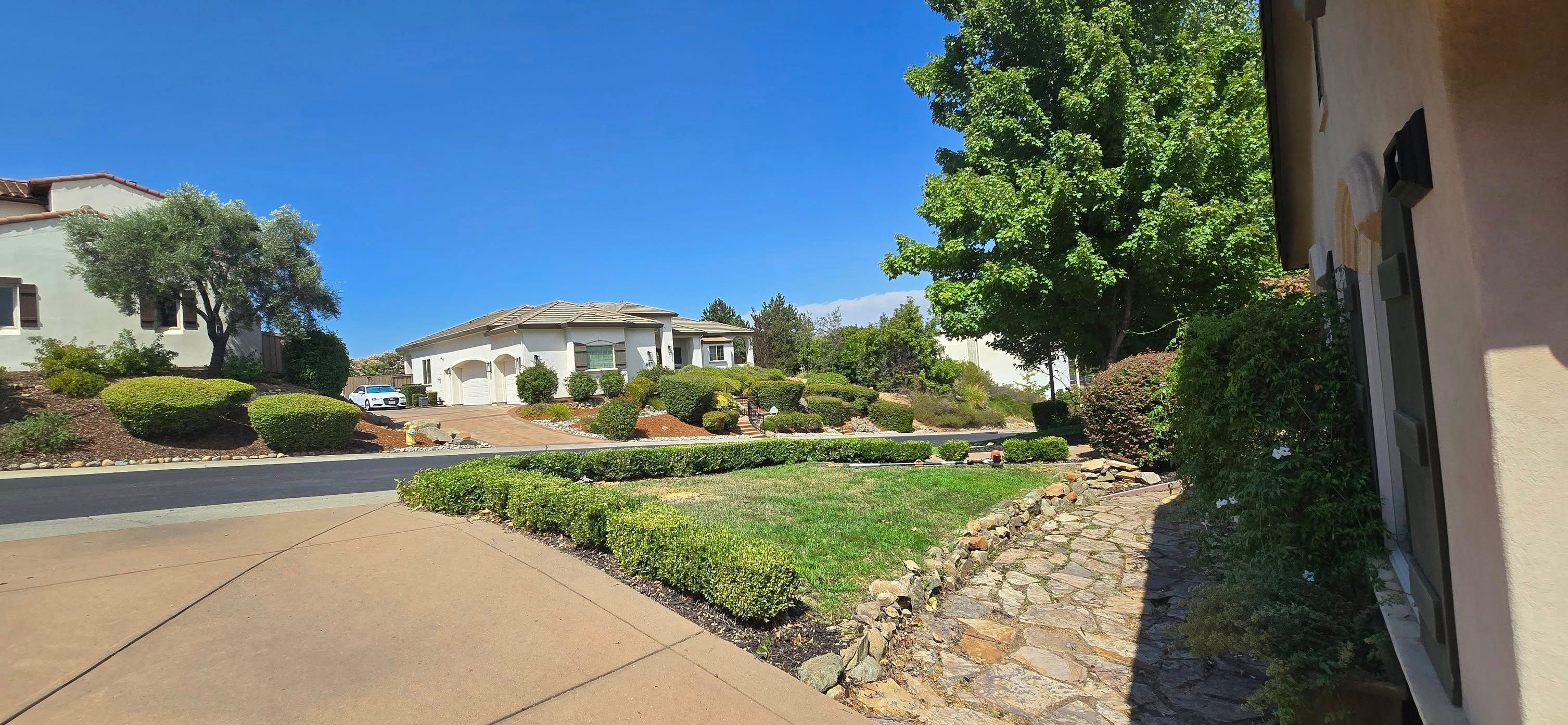 for George Staddan's Professional Tree Care in Placerville, CA