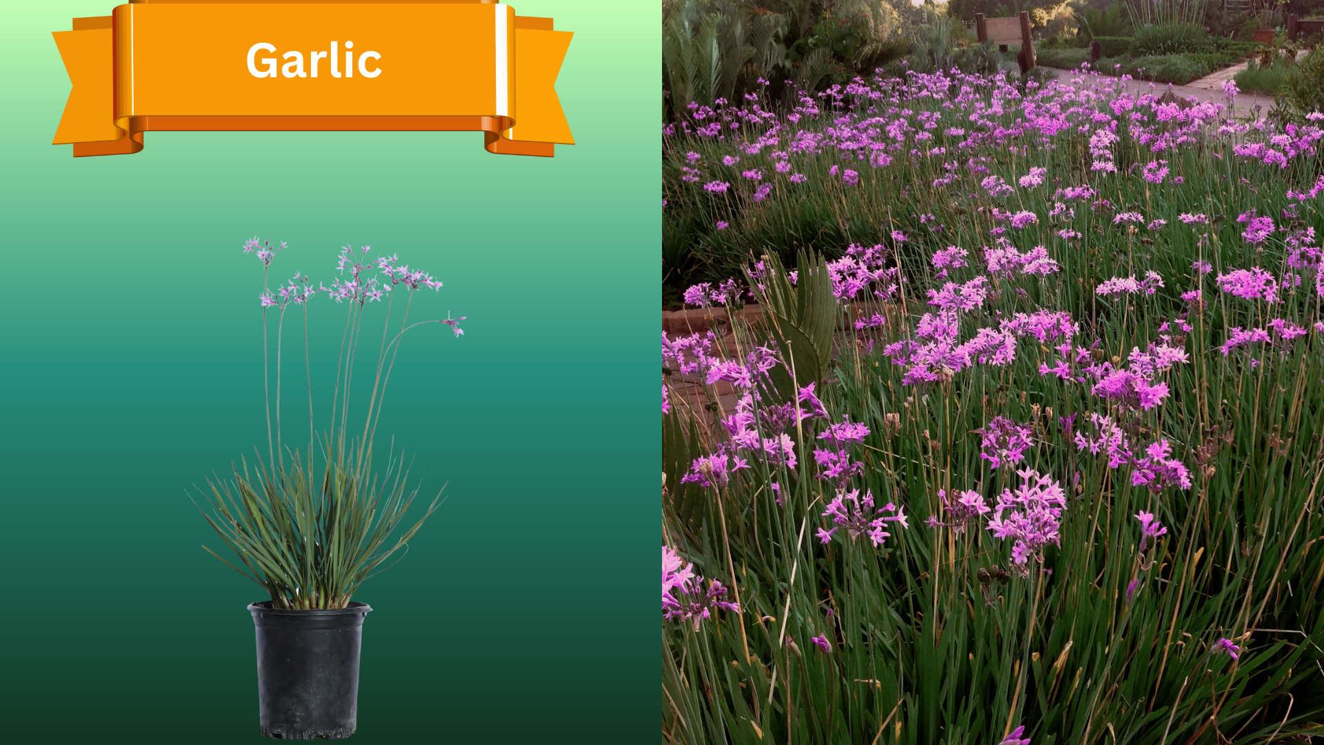  for R.B. & Company in Belleview, FL