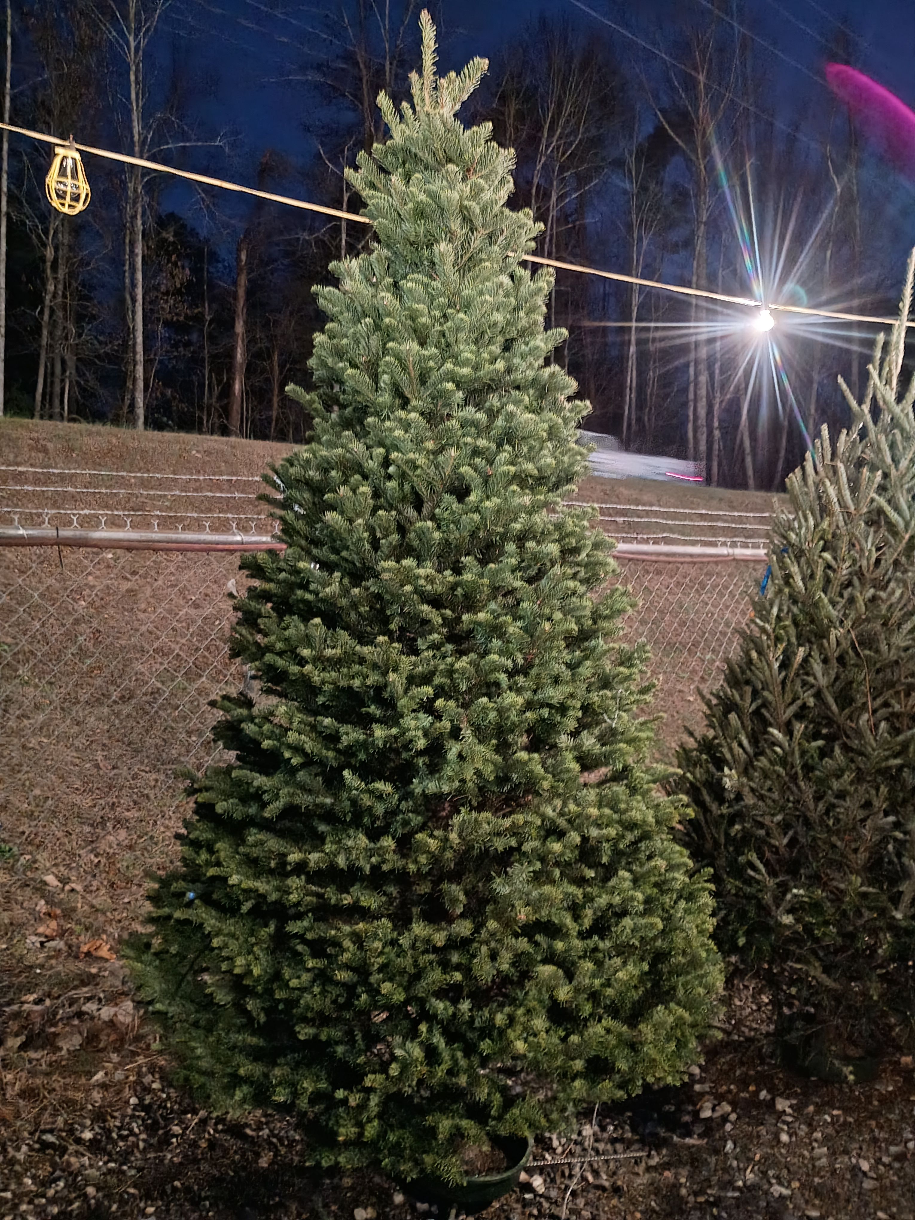 All Photos for BAM Another Pinestraw Lot in Flowery Branch, GA