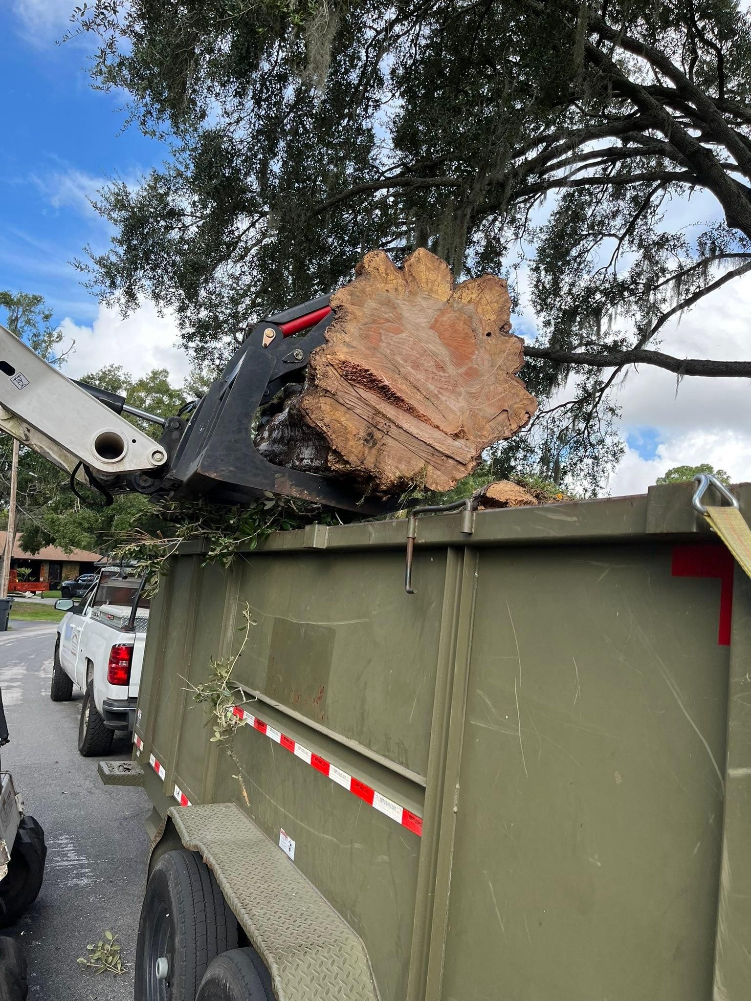  for Bills Tree Service in Valrico, FL