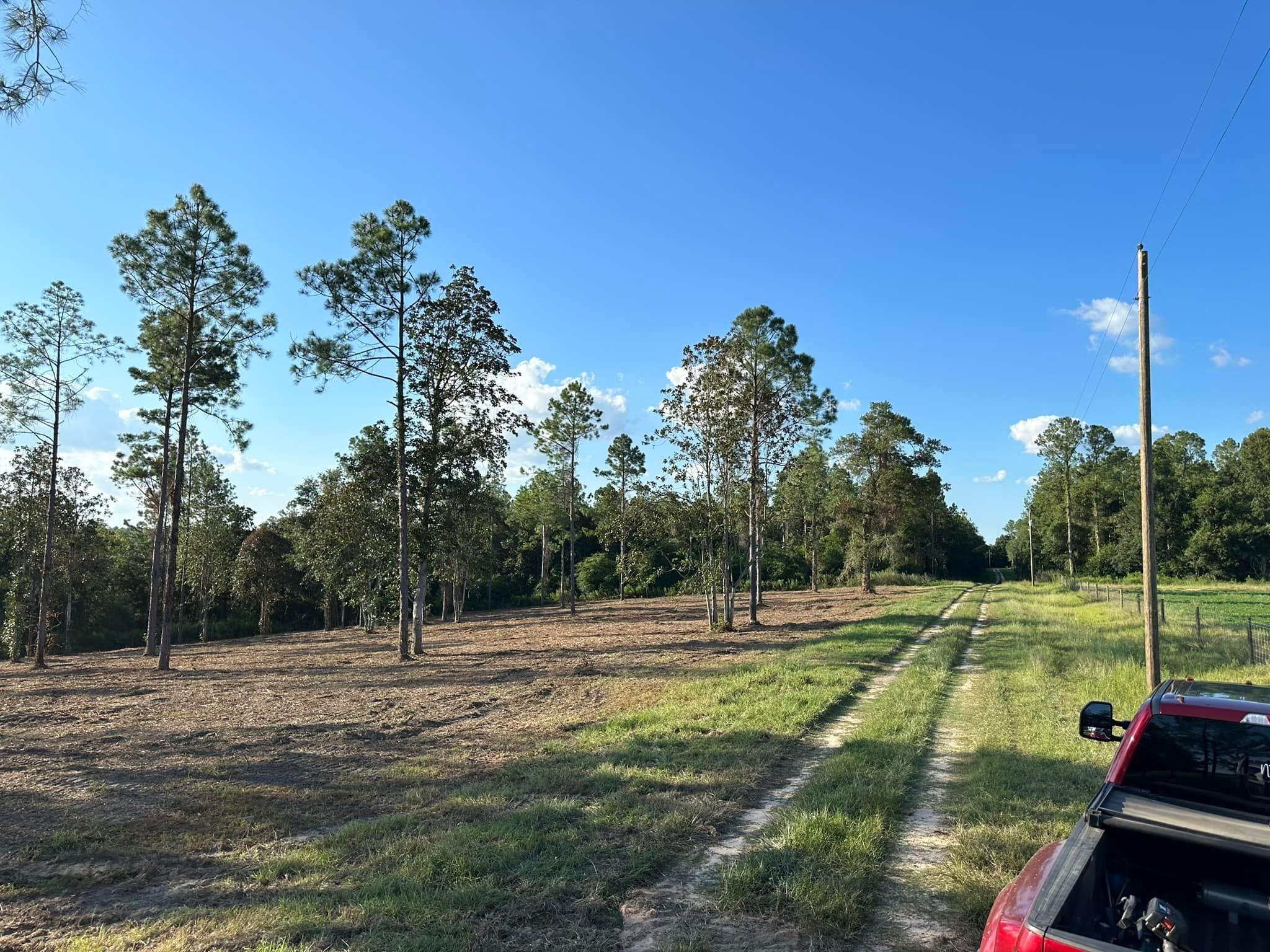 All Photos for White’s Land Maintenance in Milton,, FL