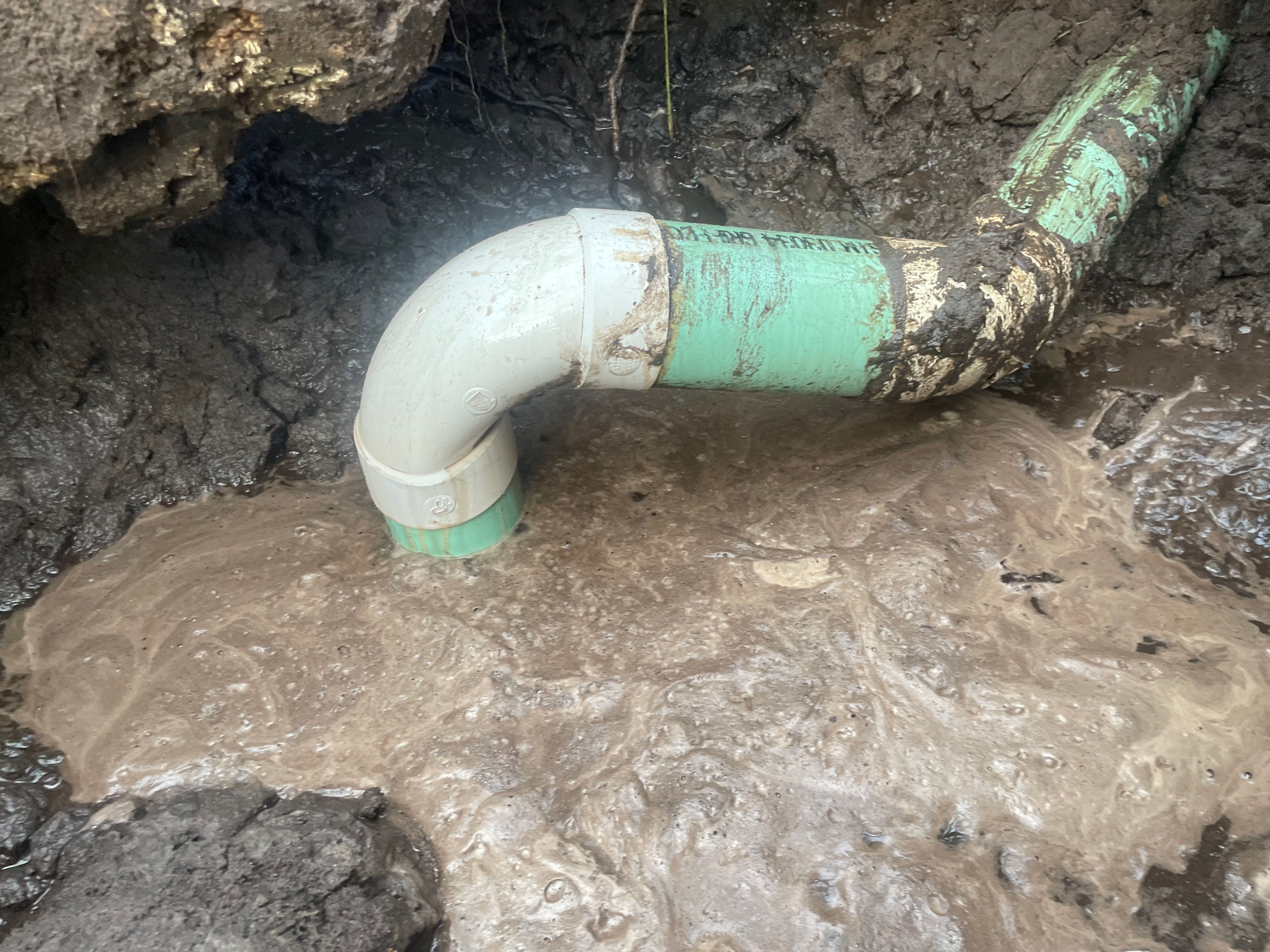  for Nomadic Plumbing Orlando in Orlando, FL