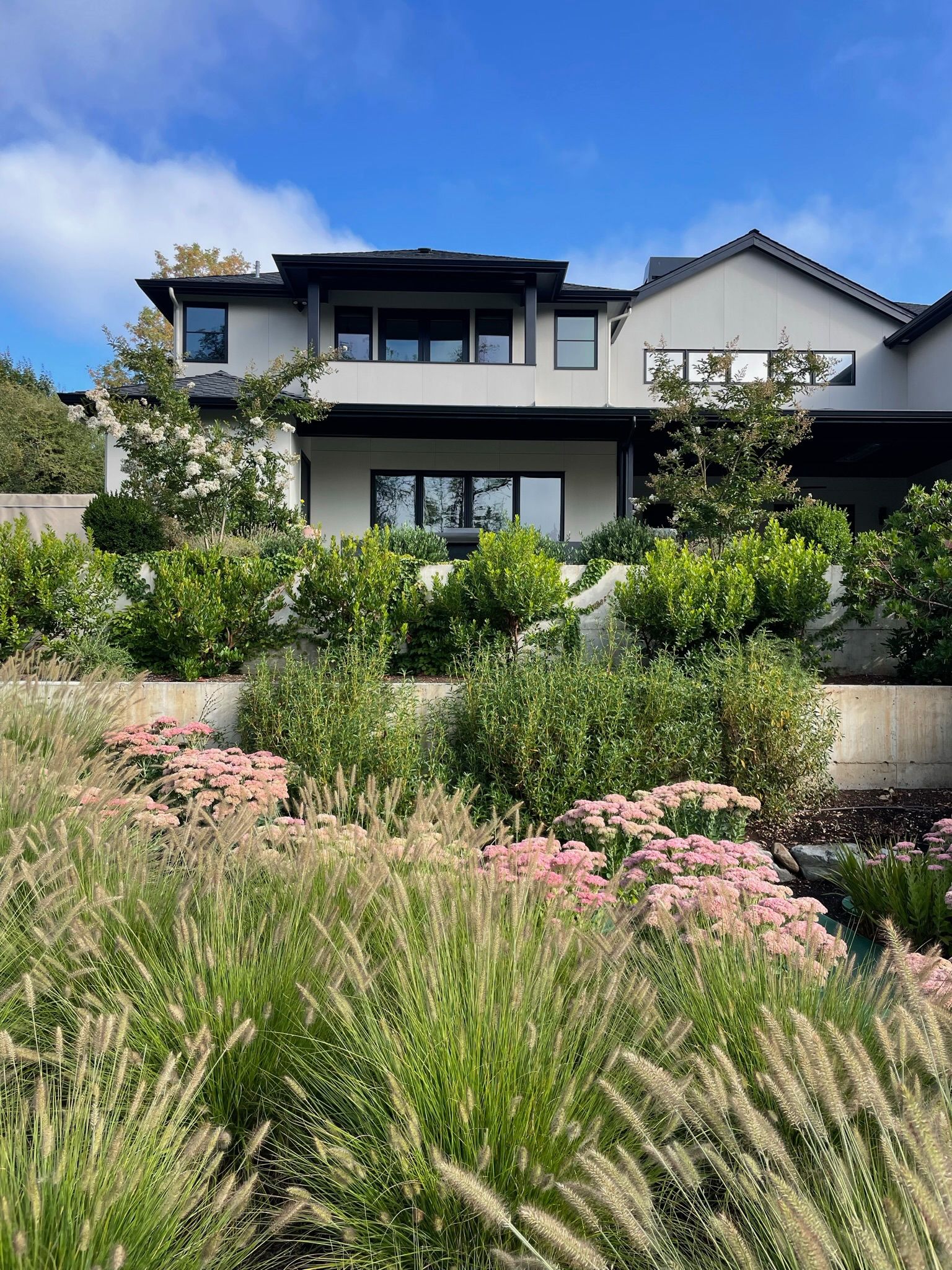  for Courtney Lewis Landscape Design in Portland, OR