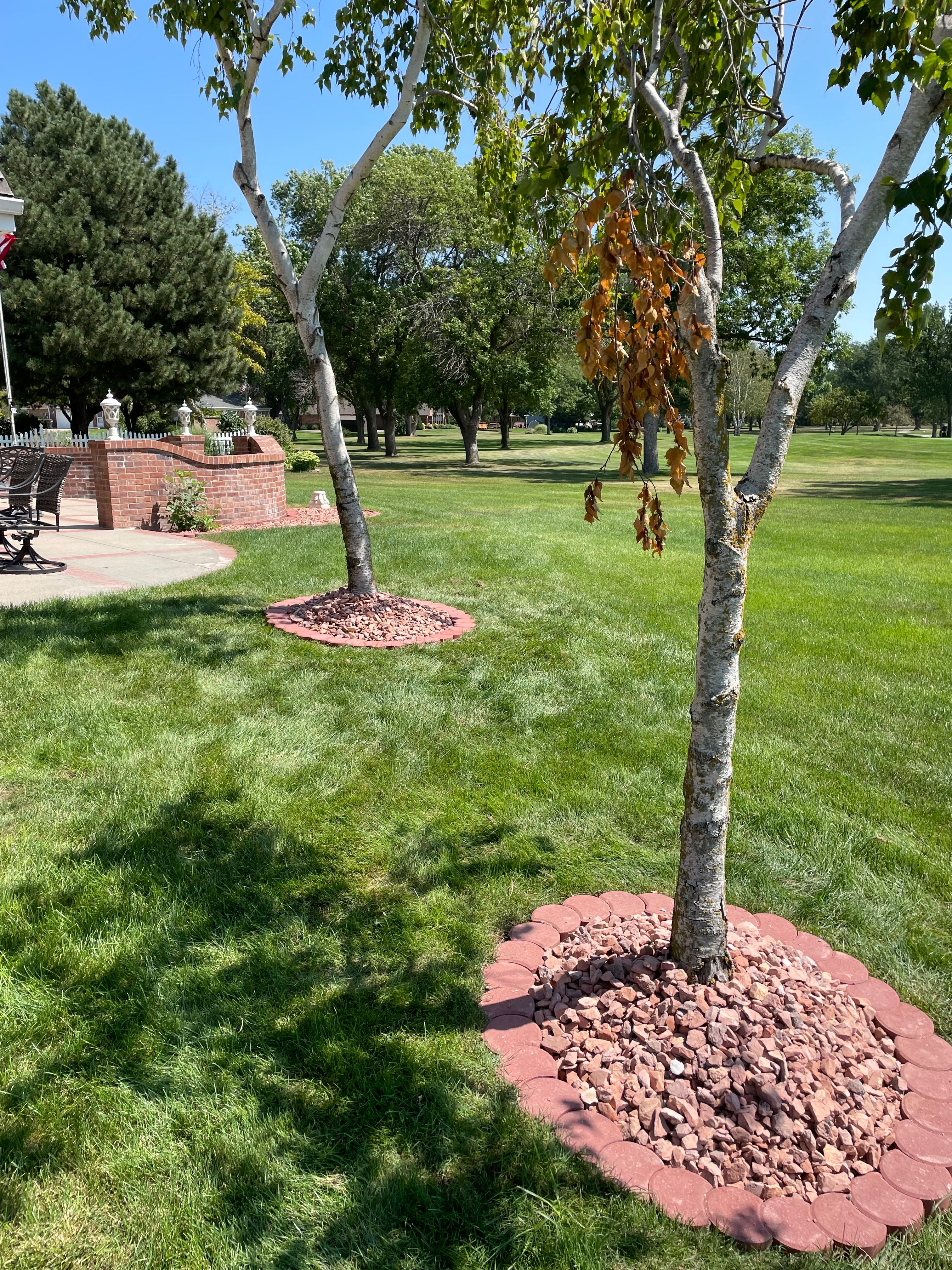  for Jacks Lawn & Landscape LLC  in Hastings, NE
