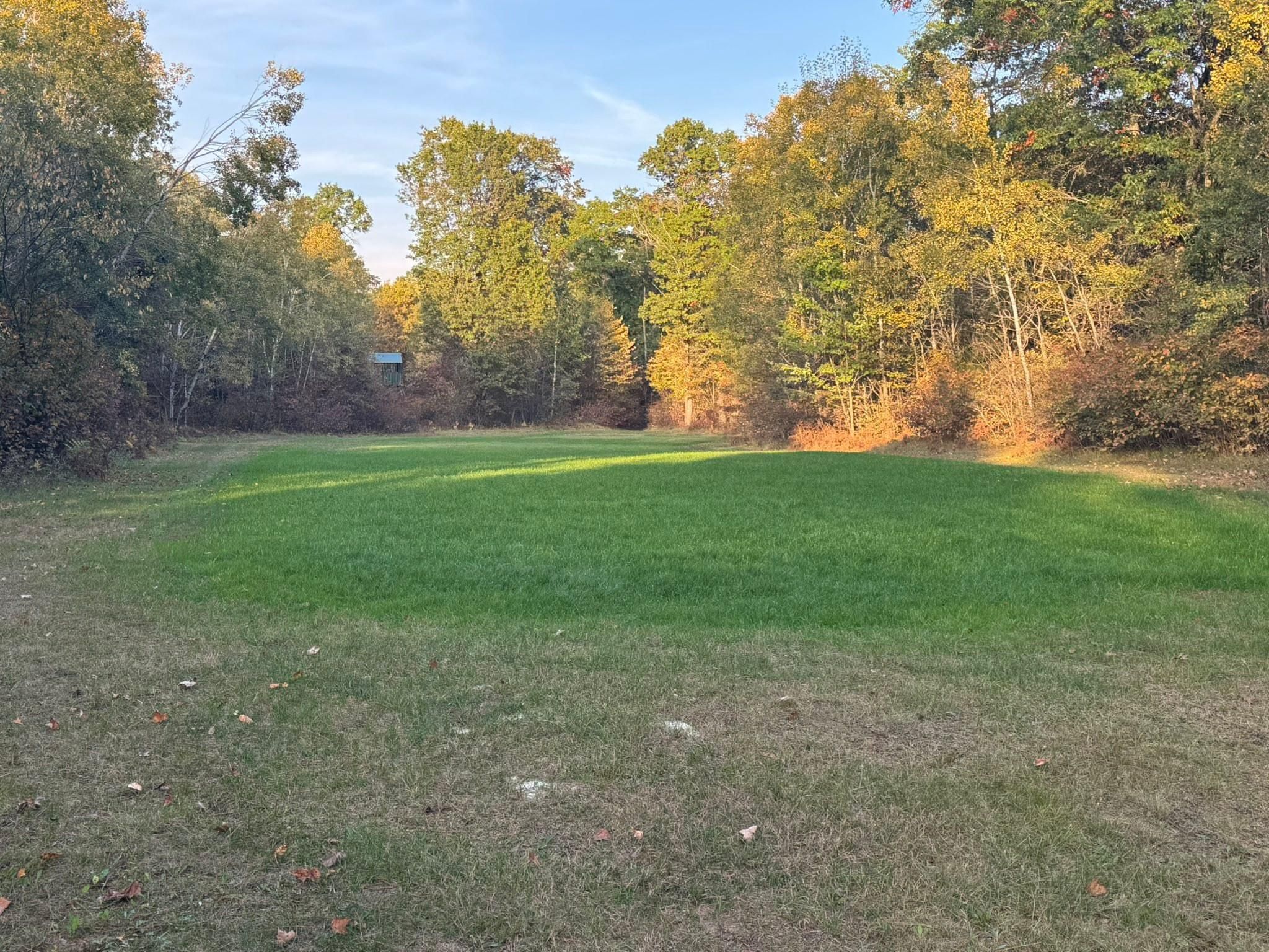  for B & M Land Management in Green Bay, WI