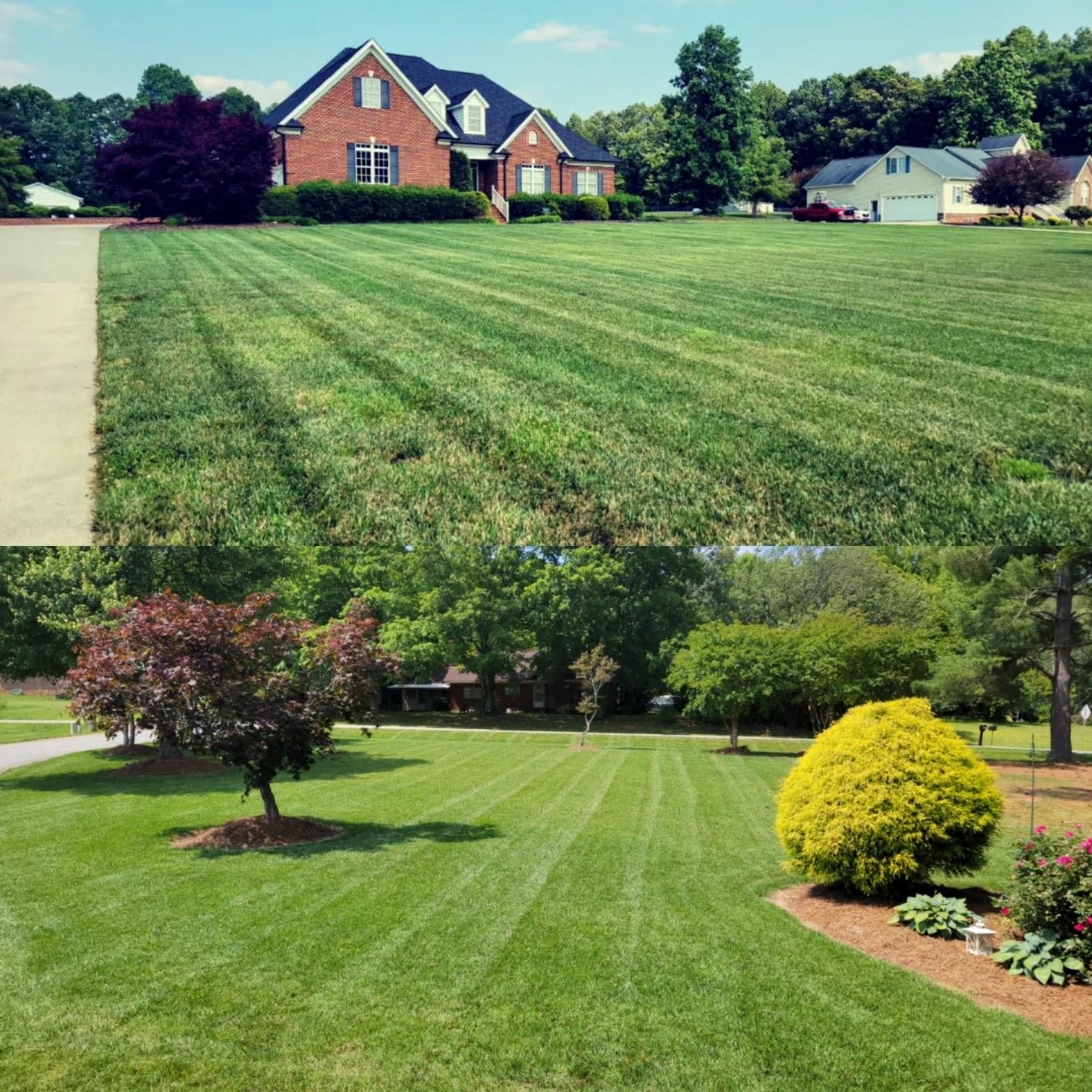  for Piedmont Lawn and Landscaping in Lexington, NC