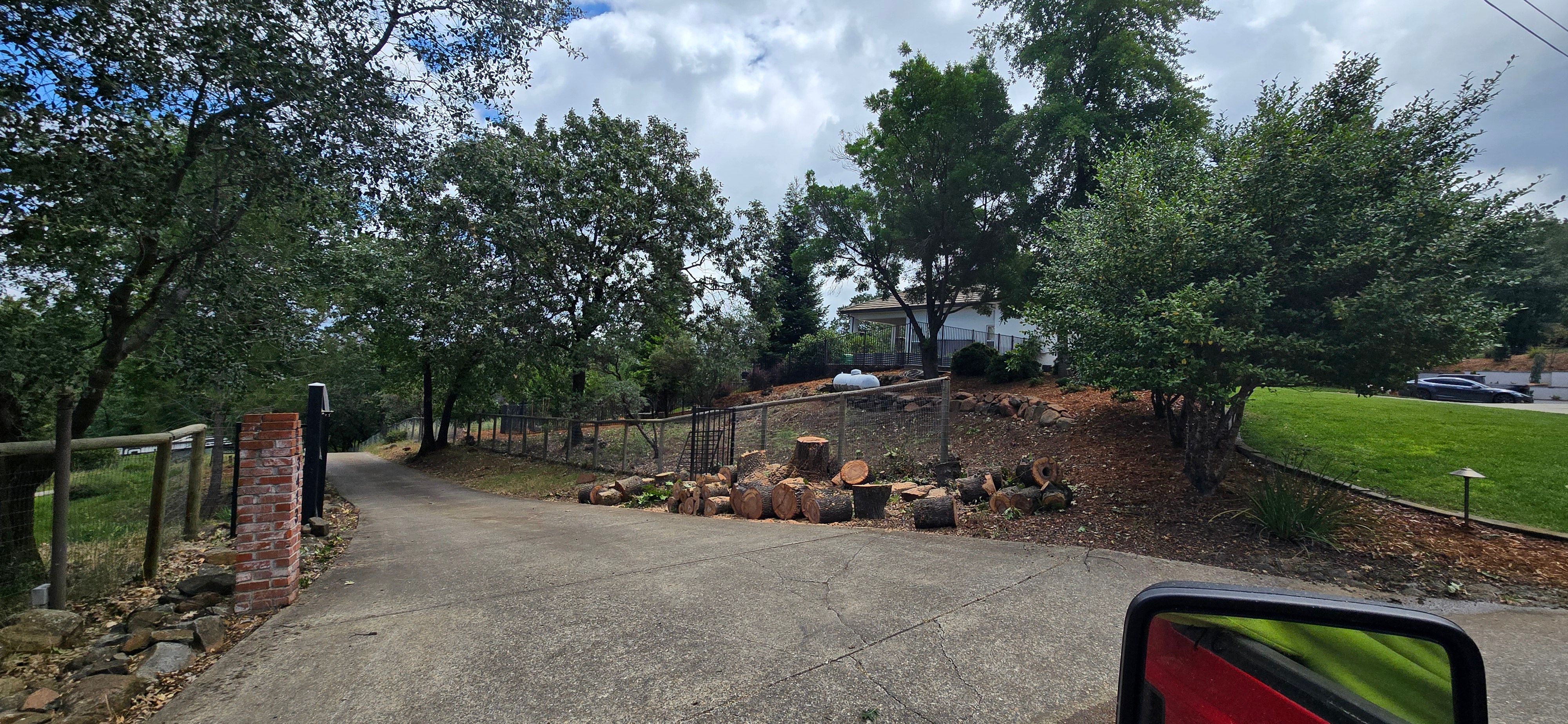  for George Staddan's Professional Tree Care in Placerville, CA