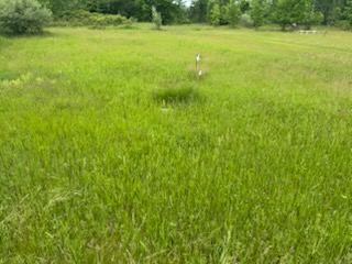  for Daugherty's Tough Lawn Care in Essexville, MI