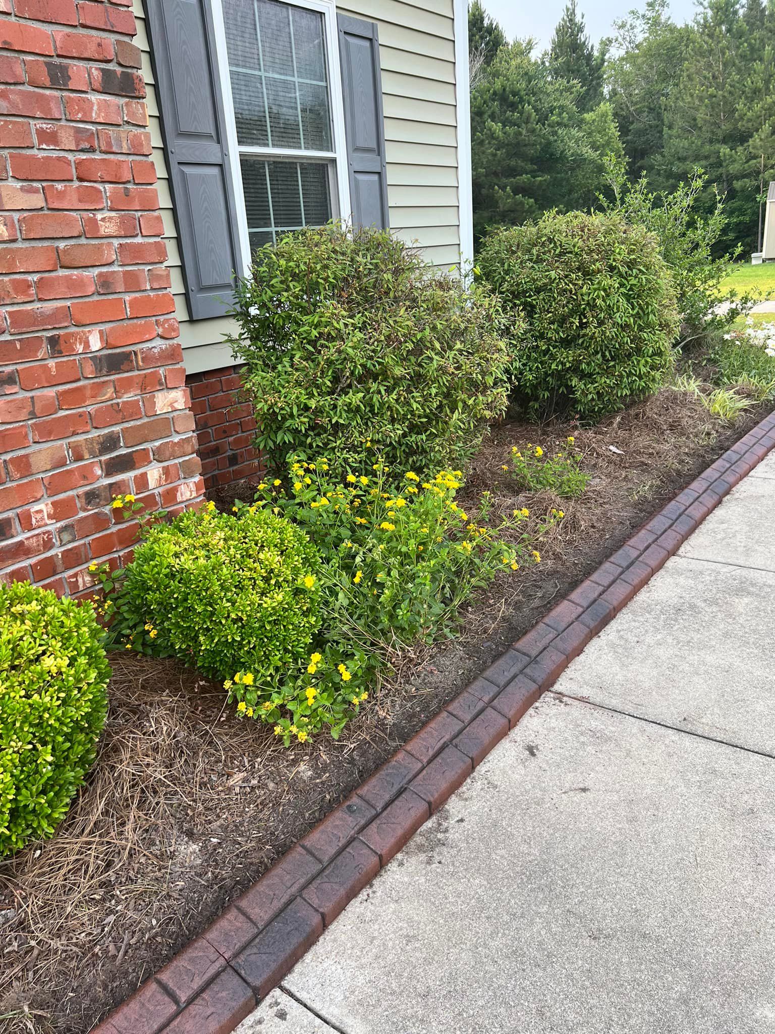  for Professional Edge in Deep Run, NC