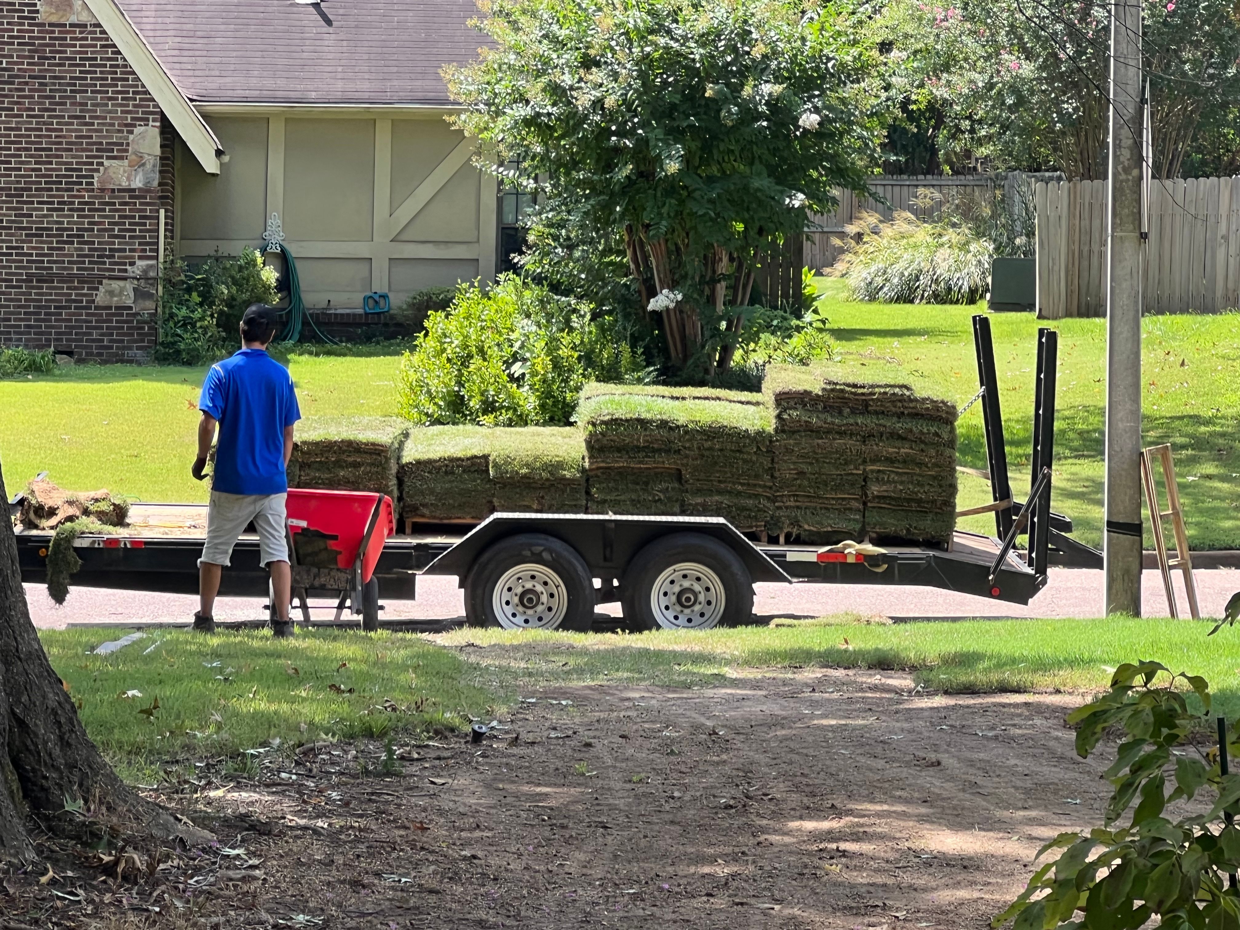 Lasso Landscape  for Emory's Garden Landscape Emporium in Memphis,  TN