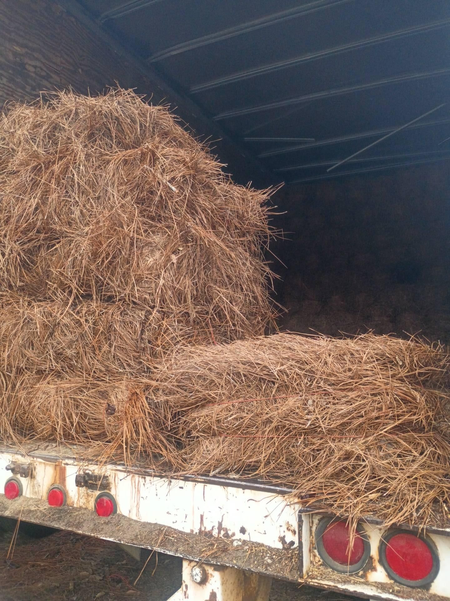 All Photos for BAM Another Pinestraw Lot in Flowery Branch, GA