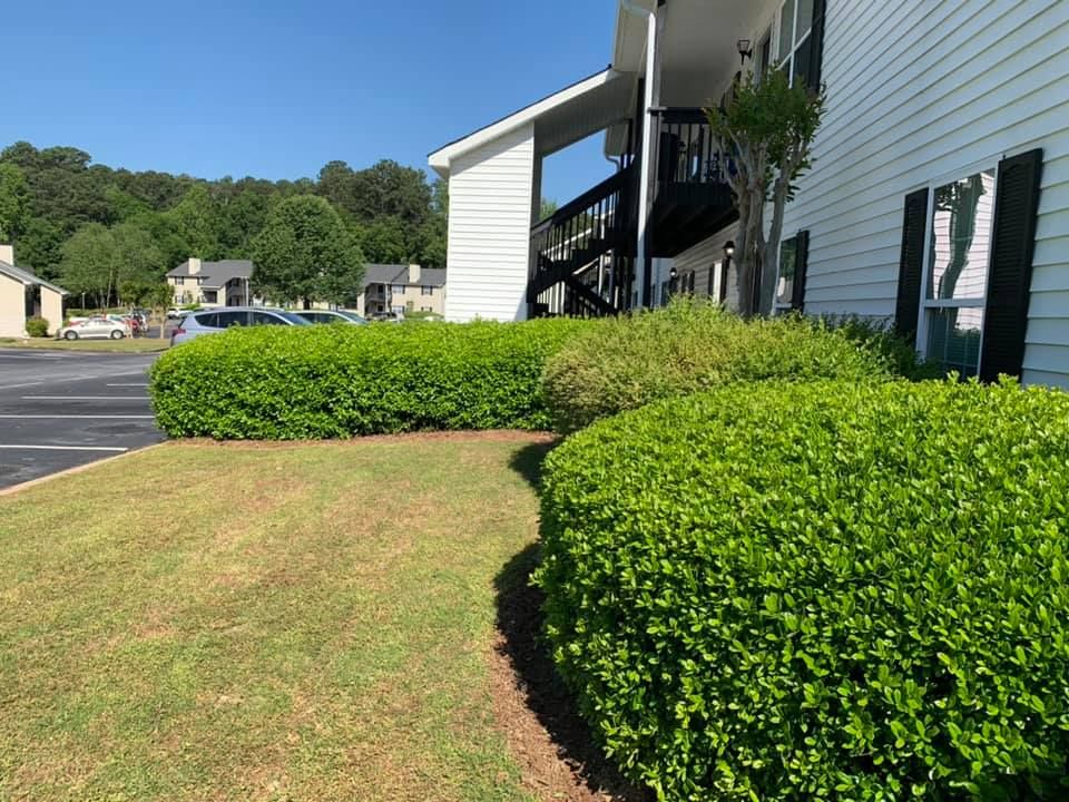 All Photos for Bega Landscape Services in Atlanta, Georgia