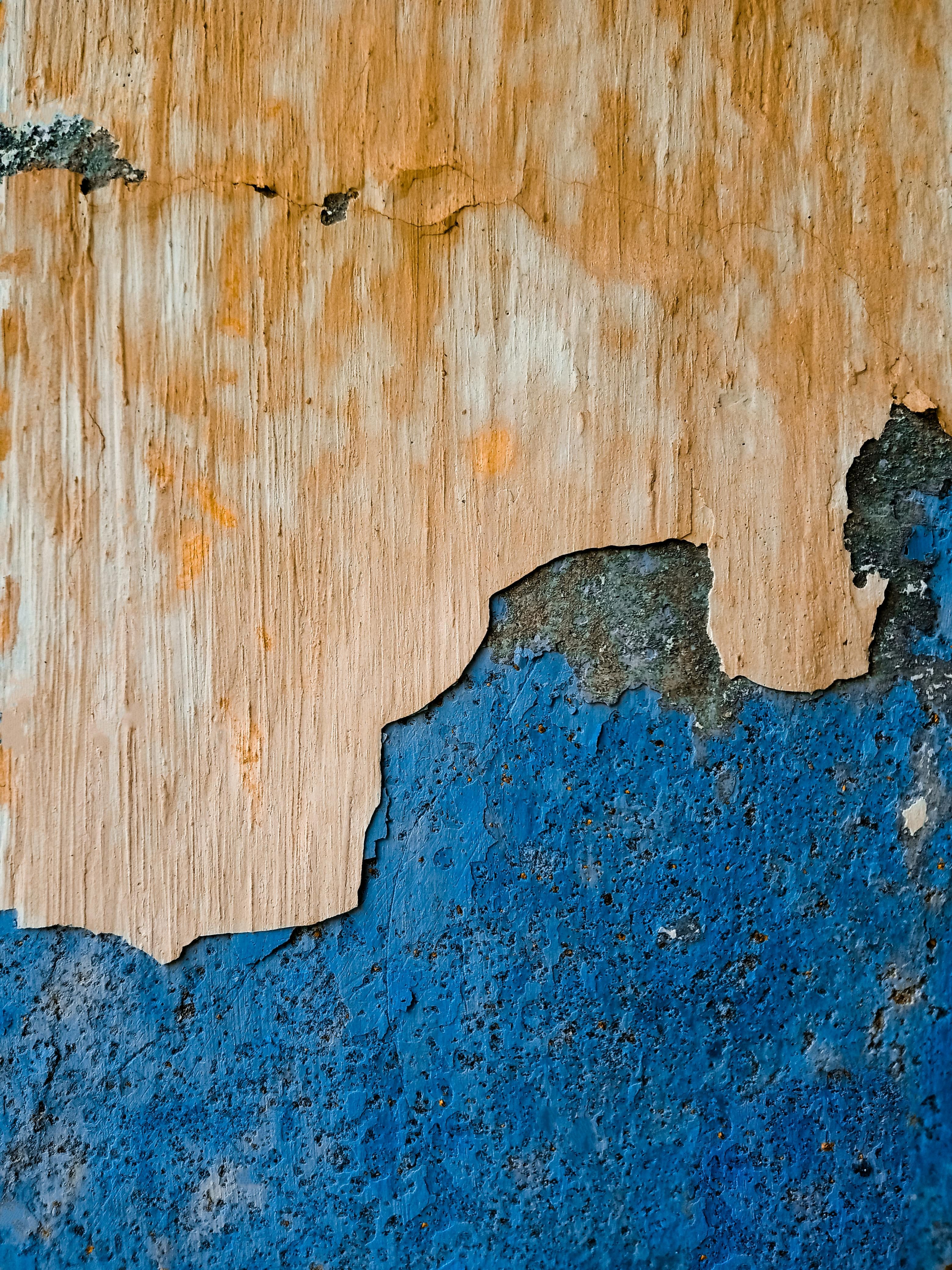  for Randy's Painting and Drywall Services LLC in Easton, Pennsylvania