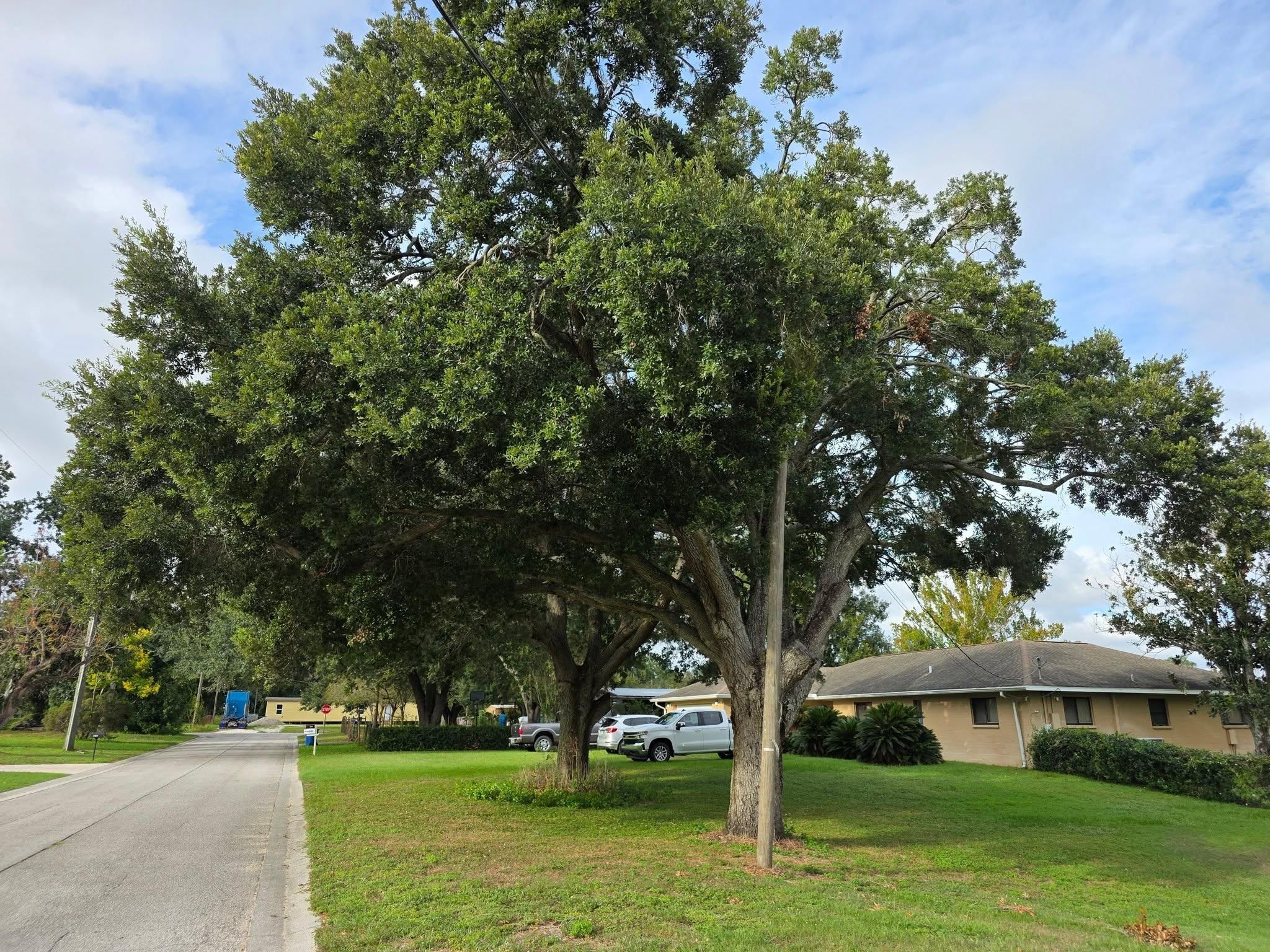  for Bay Area Bobcat in Riverview, FL