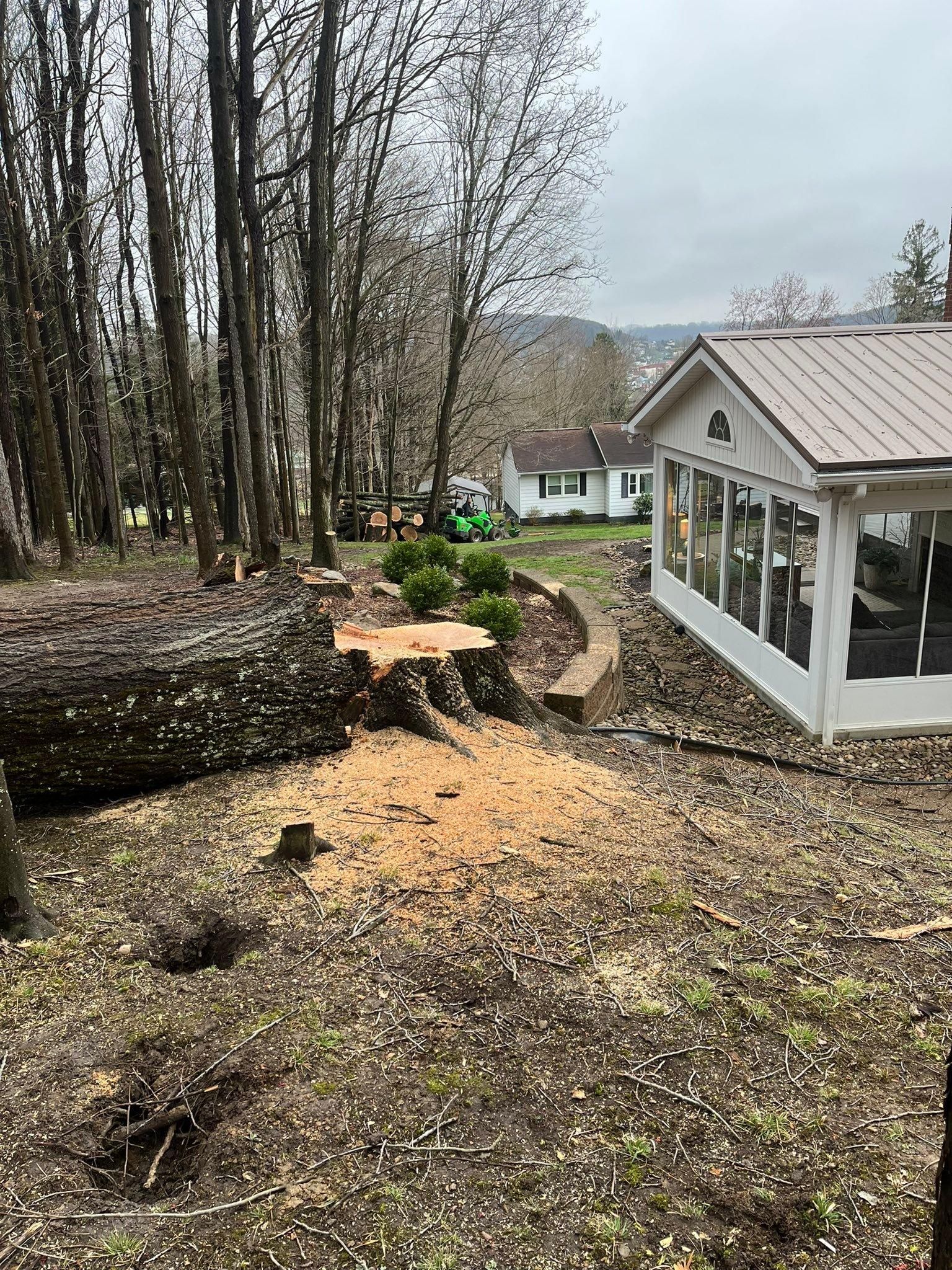  for J&E Tree & Excavation Services in Sandy, PA