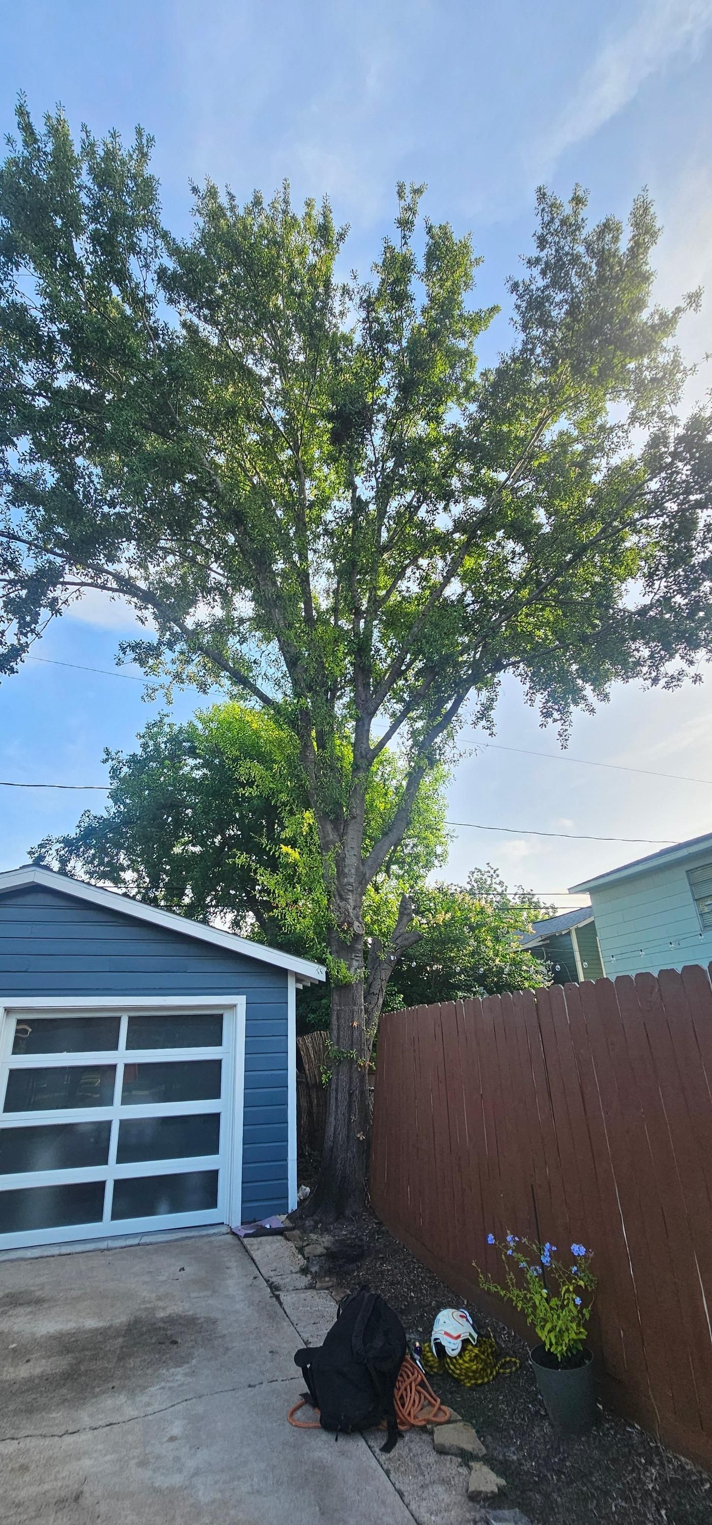  for Servin's Tree Care  in Houston, TX