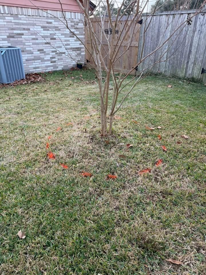  for Texas Curb N Borders in Houston, TX