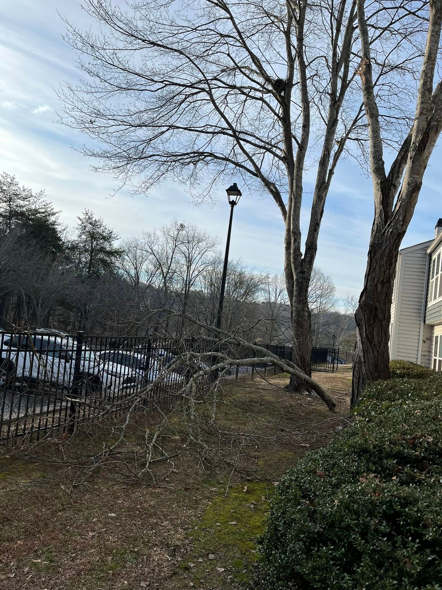  for High Tree Service & Landscaping in Atlanta, GA