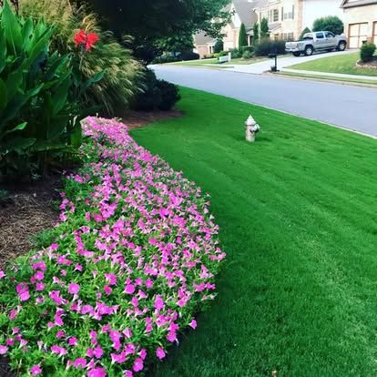  for Galt Landscape Company in Canton, GA