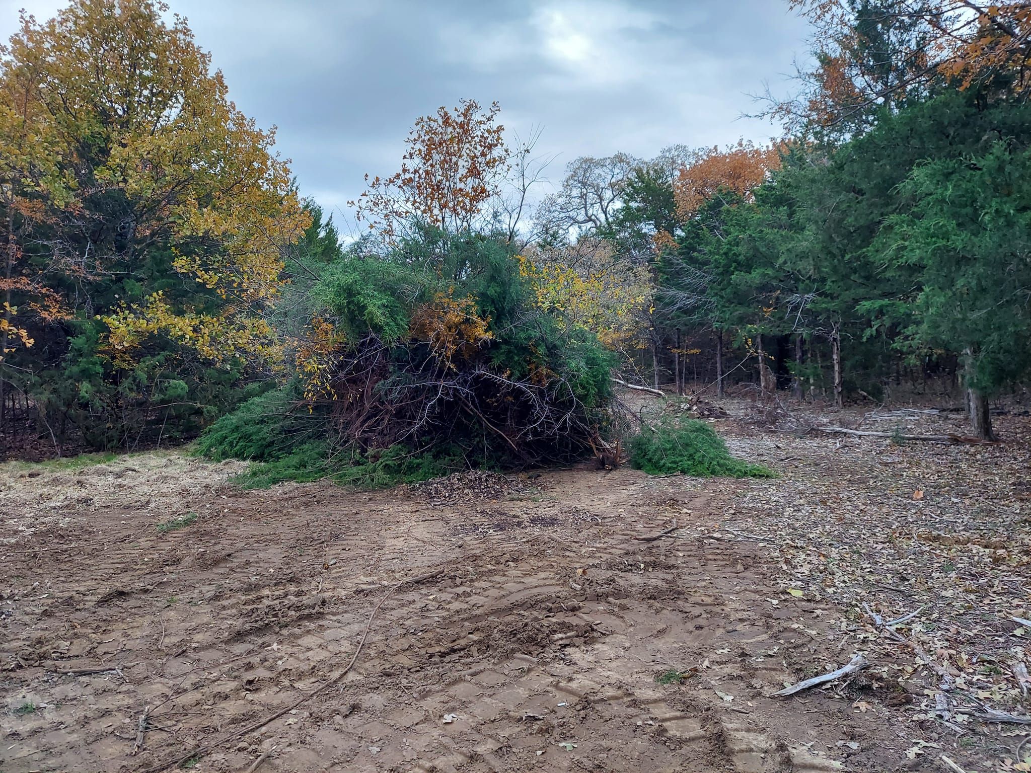  for 4H Property Services in Sanger, TX