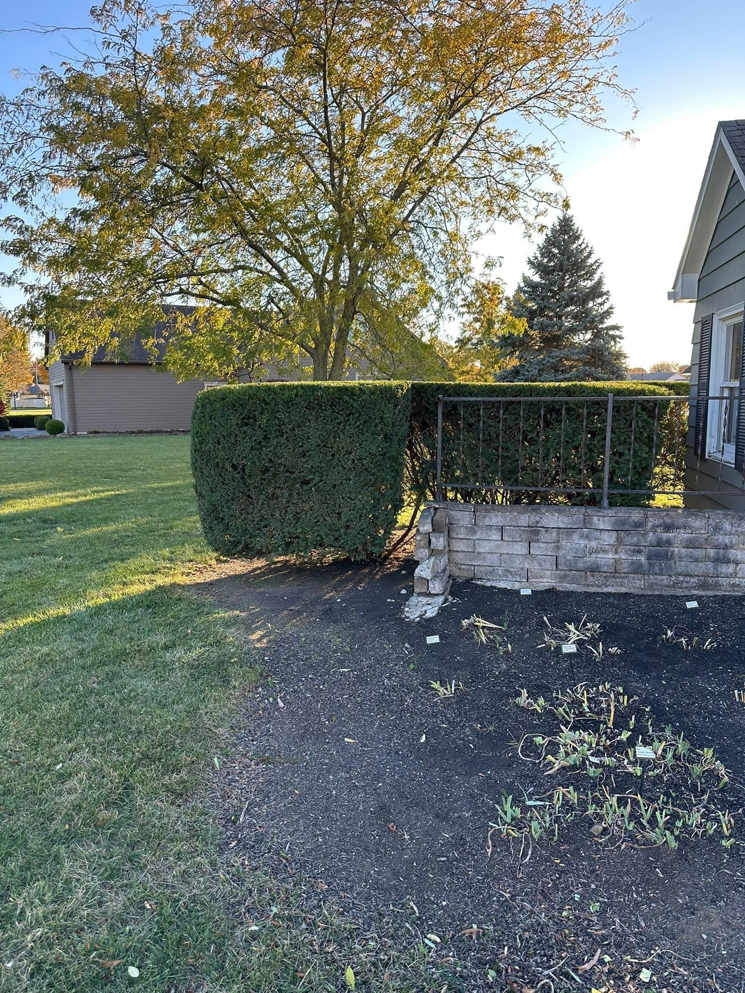  for OT Lawn and Landscaping LLC in Carey, OH