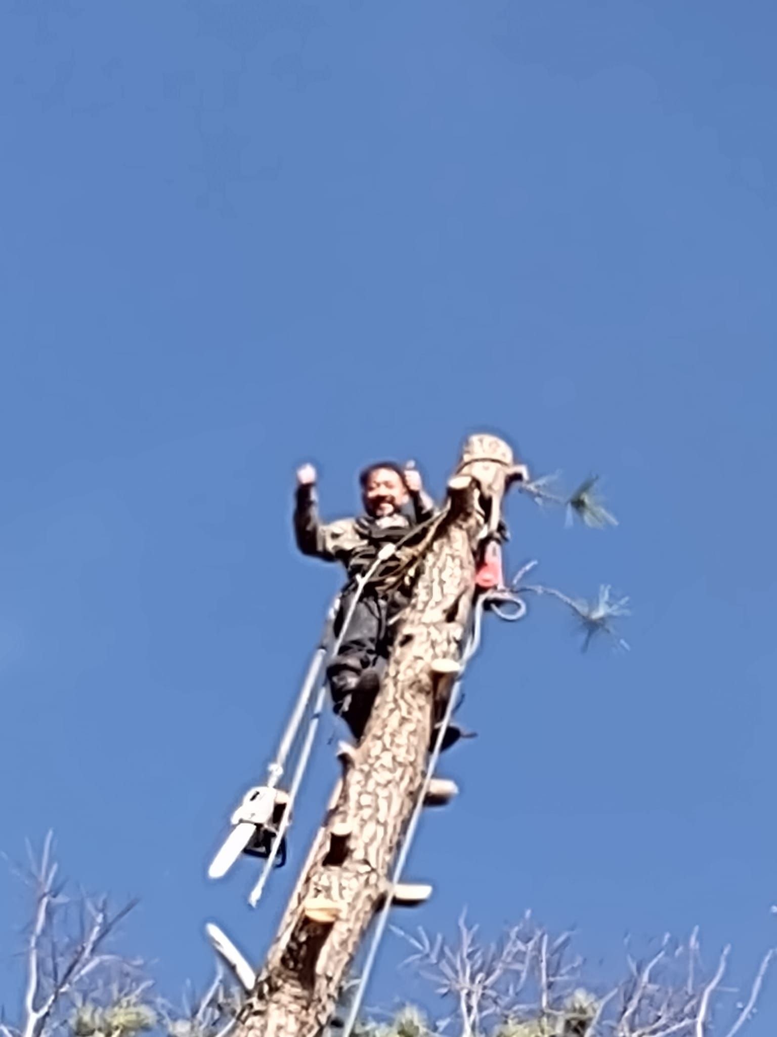  for Country Cutters Tree Service in Prince George, VA