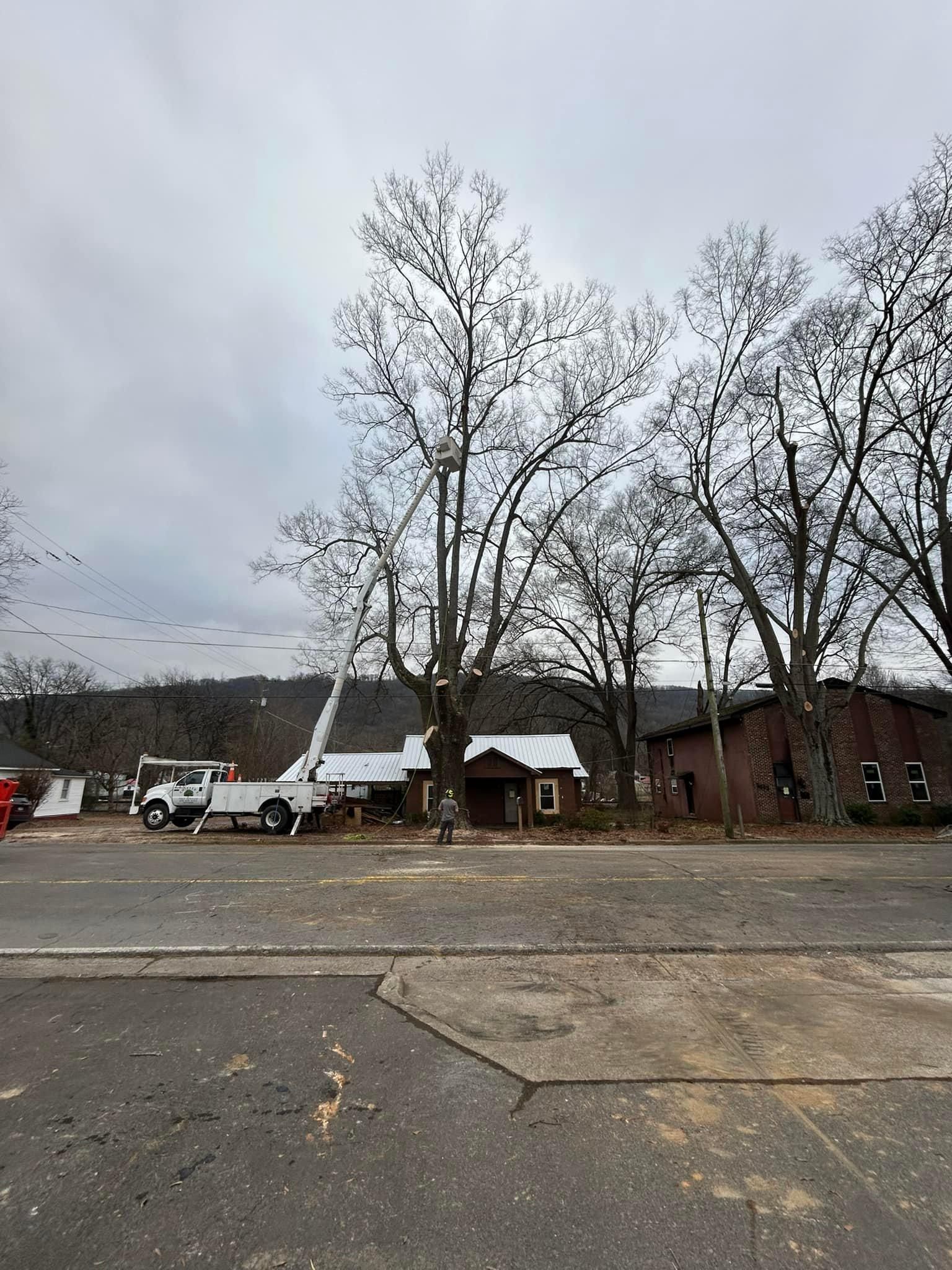  for Chipper's Tree Service  in Fort Payne, AL