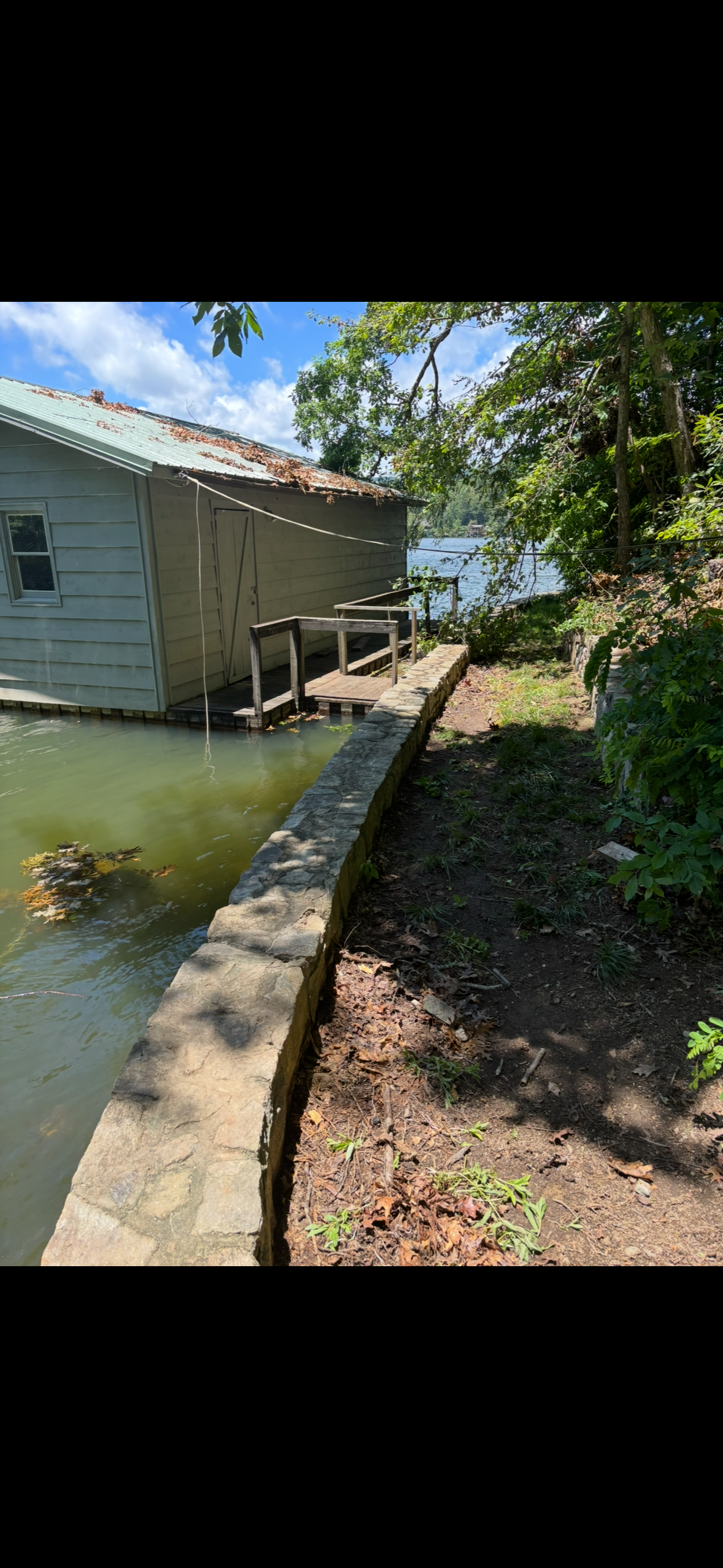  for Andy's Tree Service in Zirconia, NC