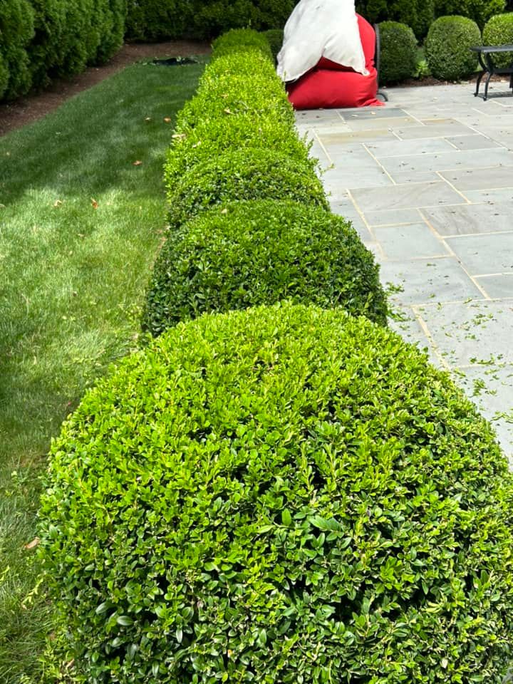  for Jose Gonzalez Landscaping in Stamford, CT