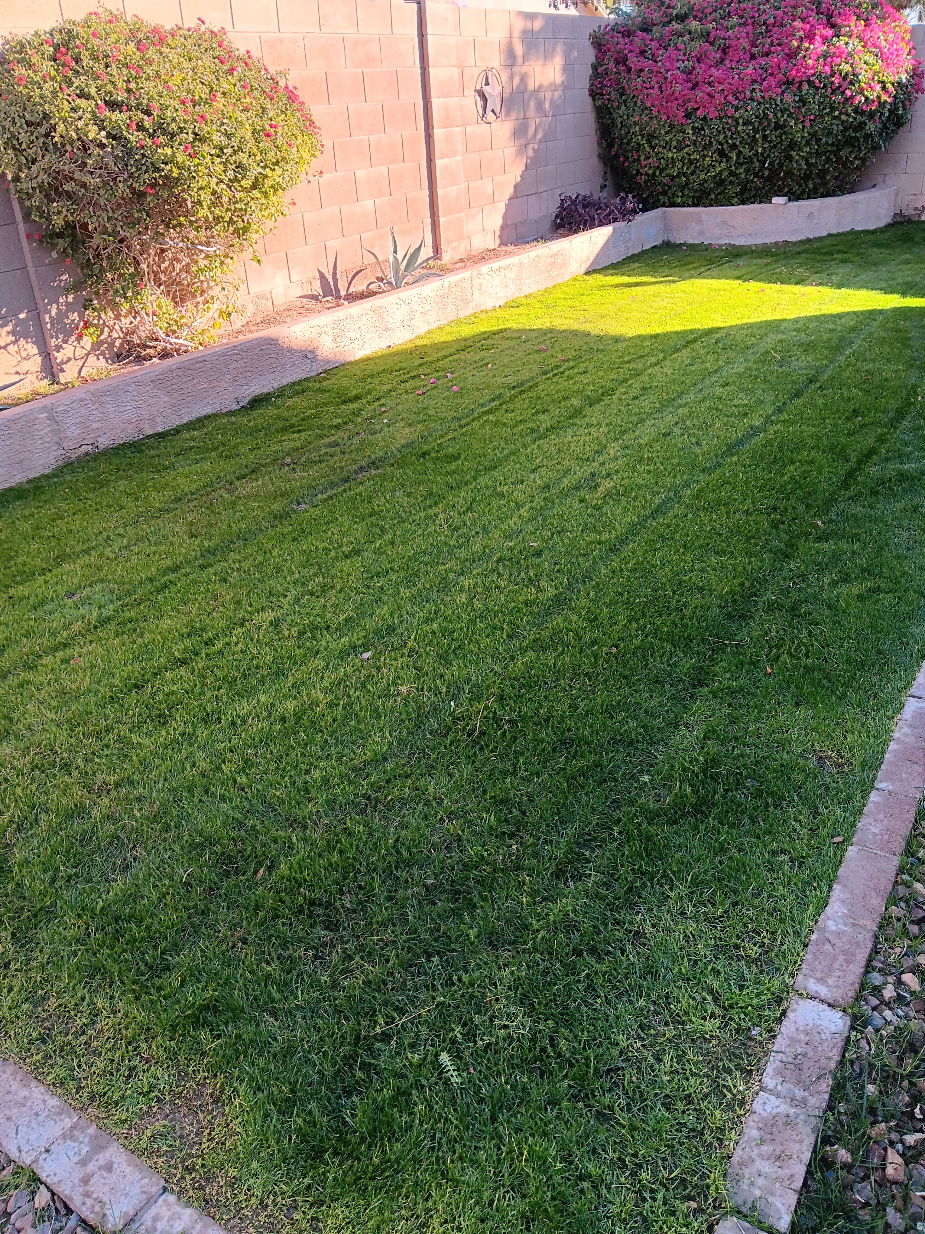  for Family Landscaping in Phoenix, AZ