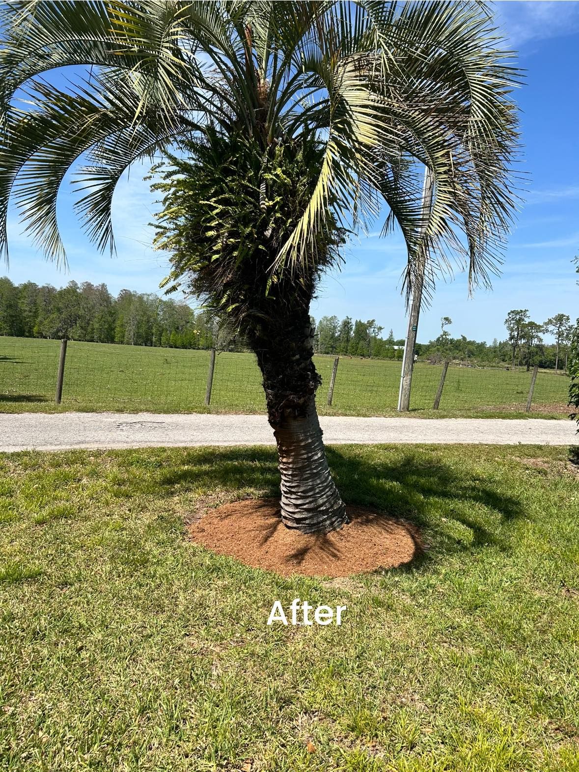  for Greene Acres Stump Grinding in Plant City, FL