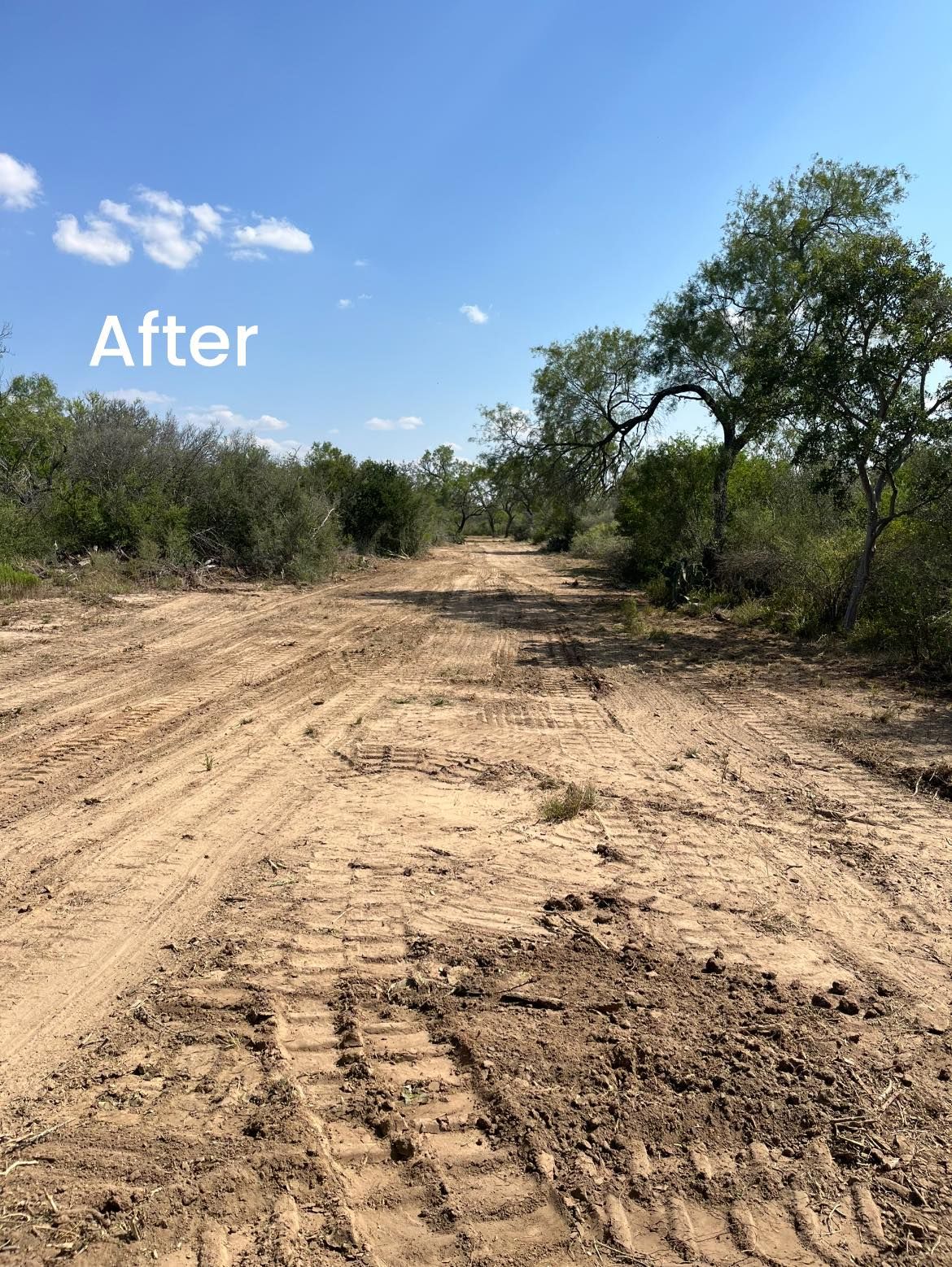  for TS Land Mangement in Bigfoot, TX