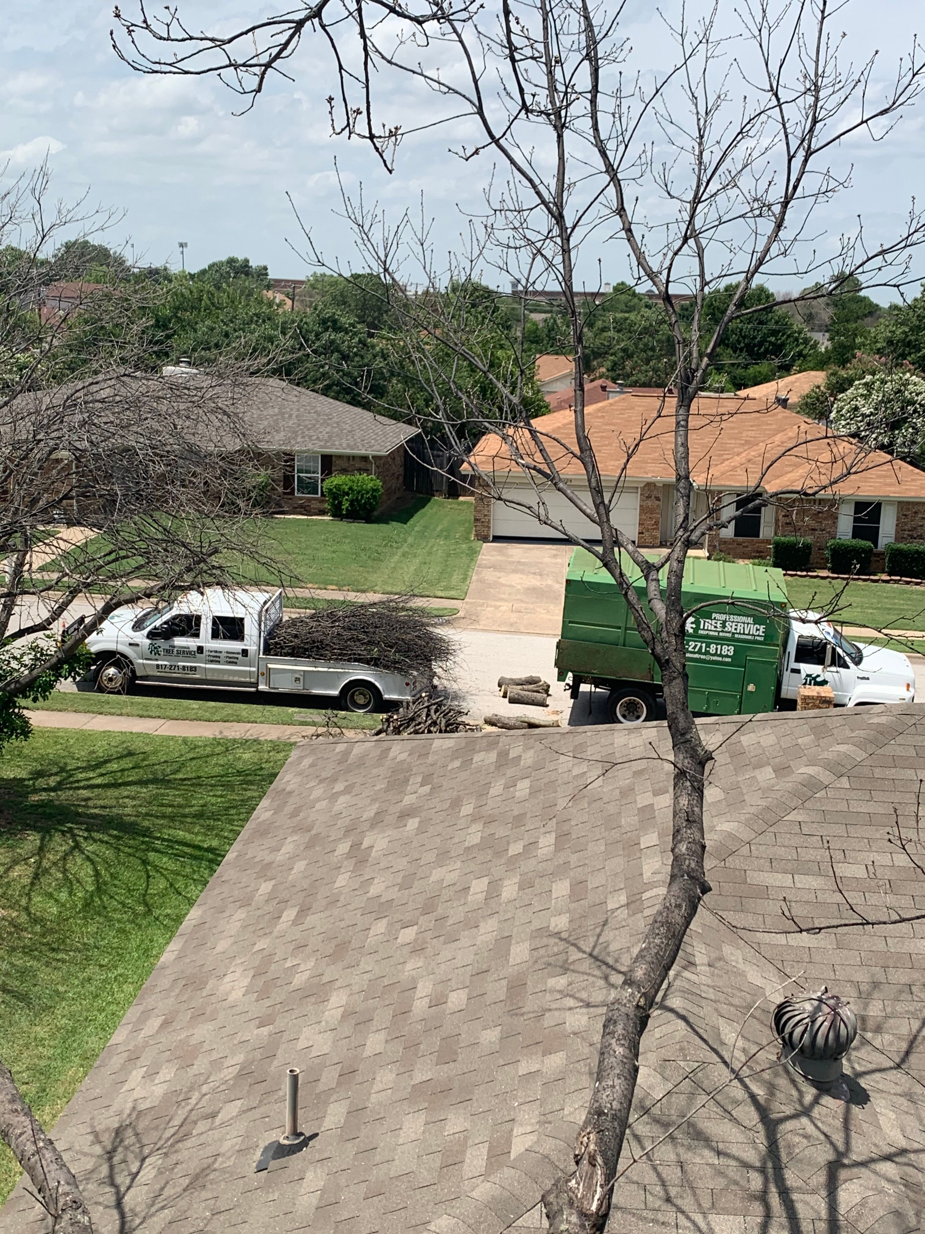  for TLC Professional Tree Service in Bedford, TX