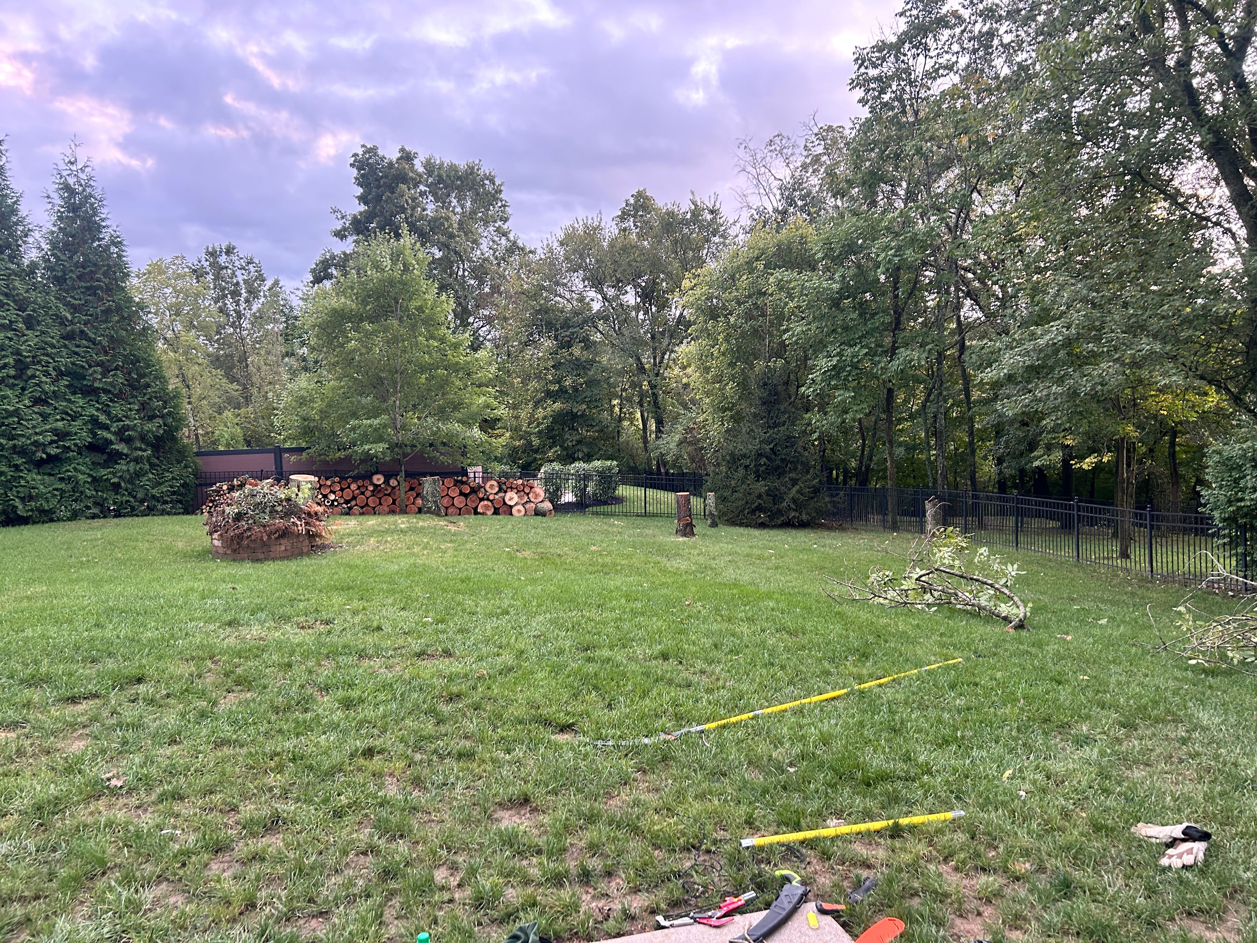  for Terra Steel Creations in Independence, KY